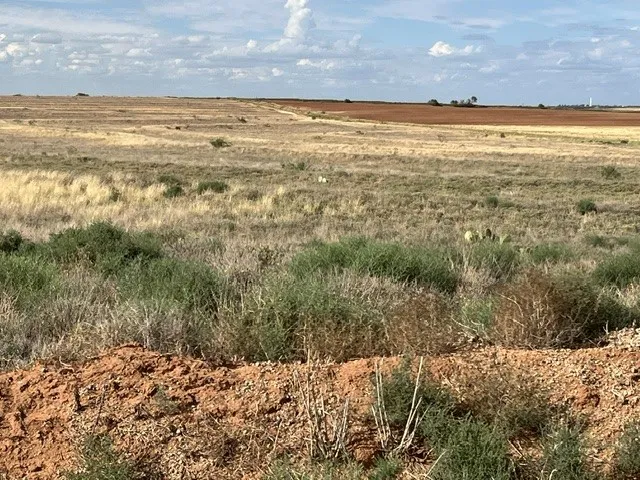 Unimproved Land For Sale in Fisher County , TBD County Rd 412, Roby, Texas 79543, 0, 0, Garage spaces, 0 Sqft, built in 0, mls#21405876, Real Estate Agent in Roby, Homes For Sale in Fisher county, Homes For Sale in Roby, Realtor in Roby Texas, Real Estate Brokerage Independent Realty Texas, Luminita Cordes Realtor
