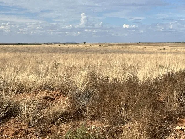 Unimproved Land For Sale in Fisher County , TBD County Rd 412, Roby, Texas 79543, 0, 0, Garage spaces, 0 Sqft, built in 0, mls#21405876, Real Estate Agent in Roby, Homes For Sale in Fisher county, Homes For Sale in Roby, Realtor in Roby Texas, Real Estate Brokerage Independent Realty Texas, Luminita Cordes Realtor