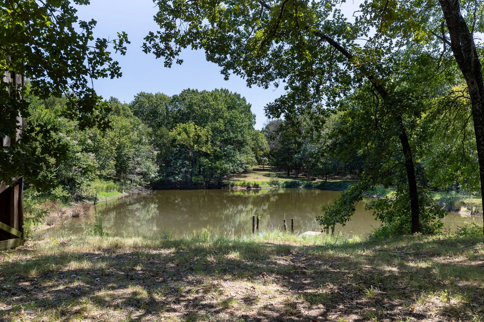 Pond (shared)