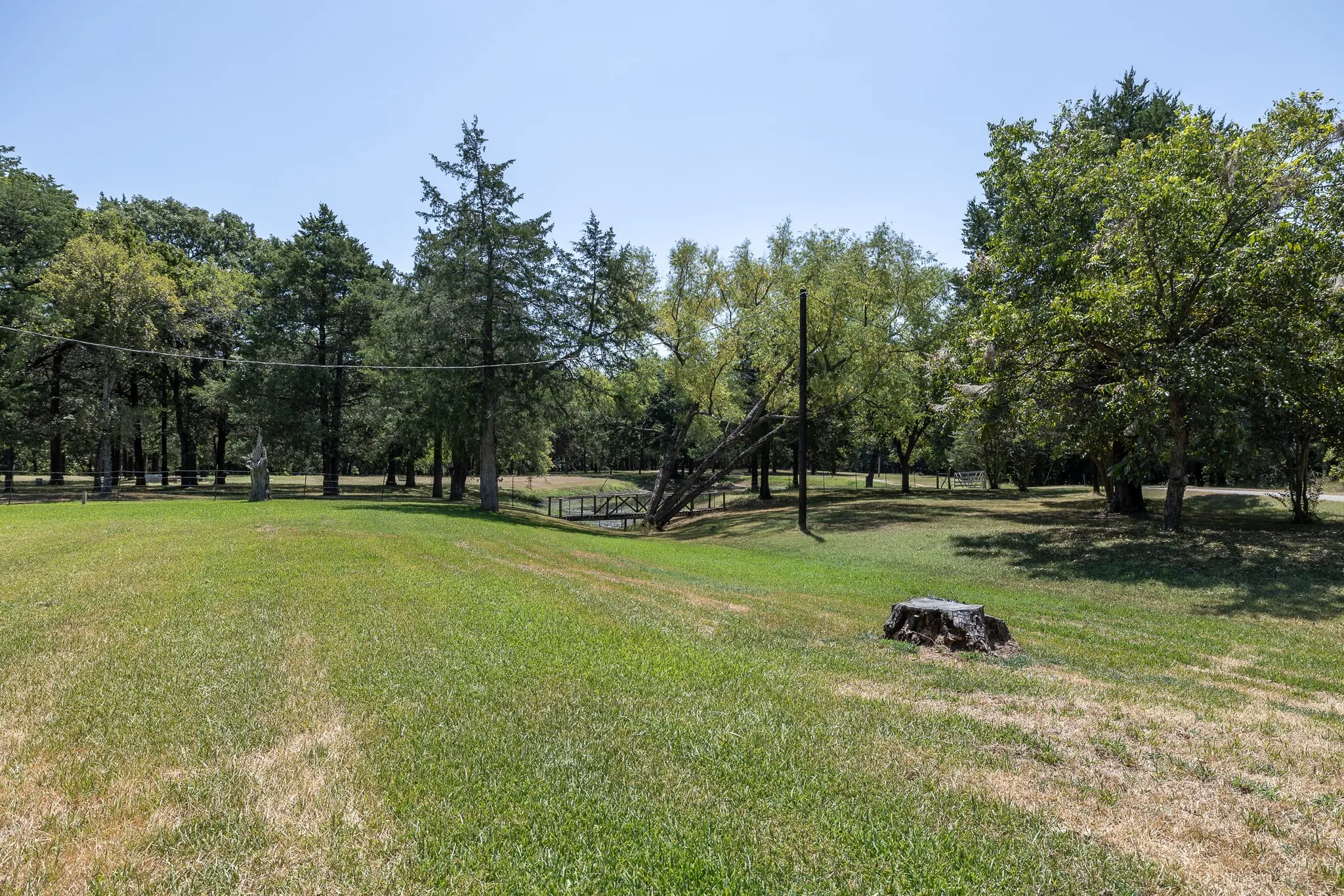 View from backyard of main house