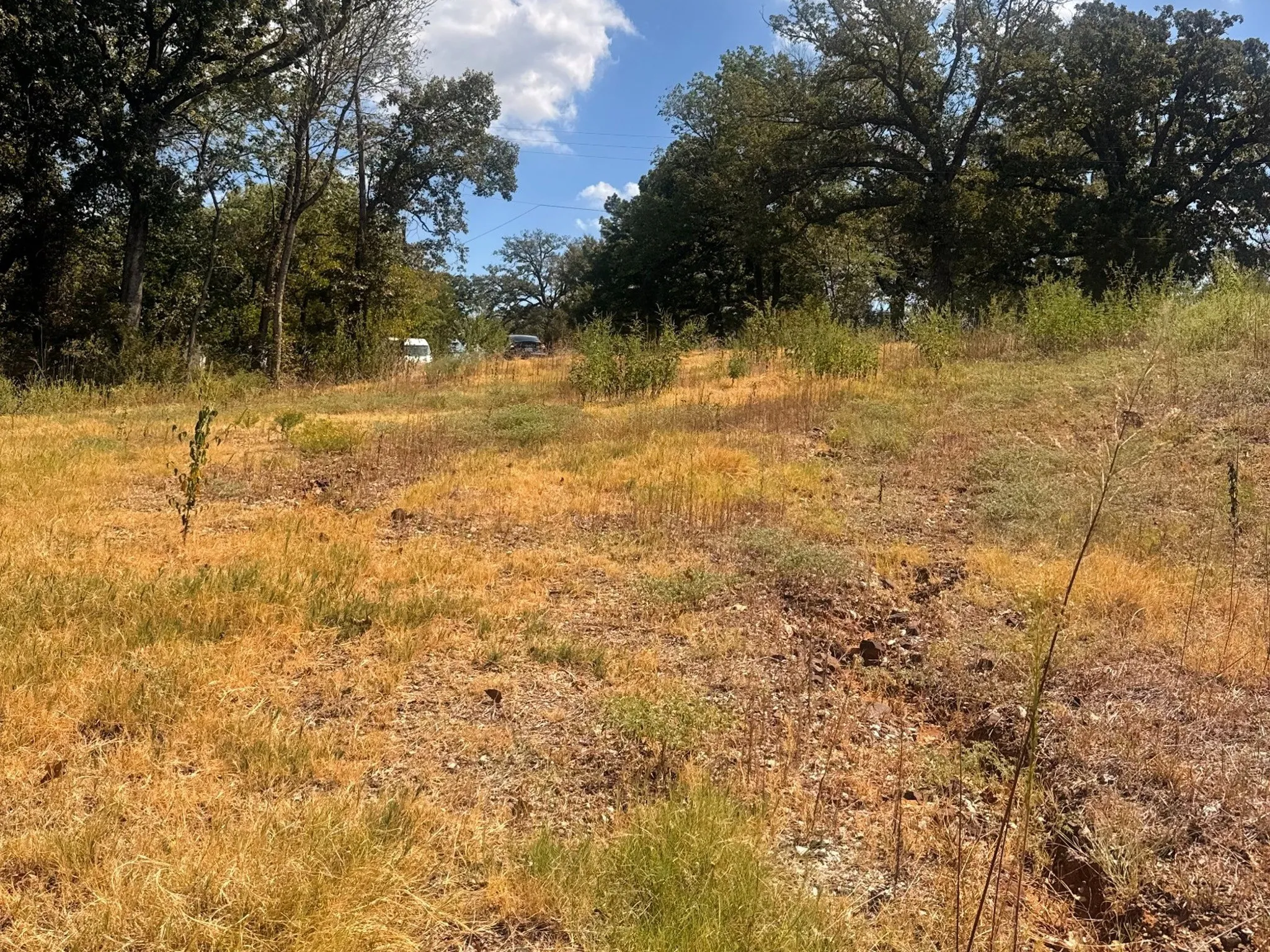 Unimproved Land For Sale in Grayson County , 616 E HULL Street, Denison, Texas 75021, 0, 0, Garage spaces, 0 Sqft, built in 0, mls#21400464, Real Estate Agent in Denison, Homes For Sale in Grayson county, Homes For Sale in Denison, Realtor in Denison Texas, Real Estate Brokerage Independent Realty Texas, Luminita Cordes Realtor