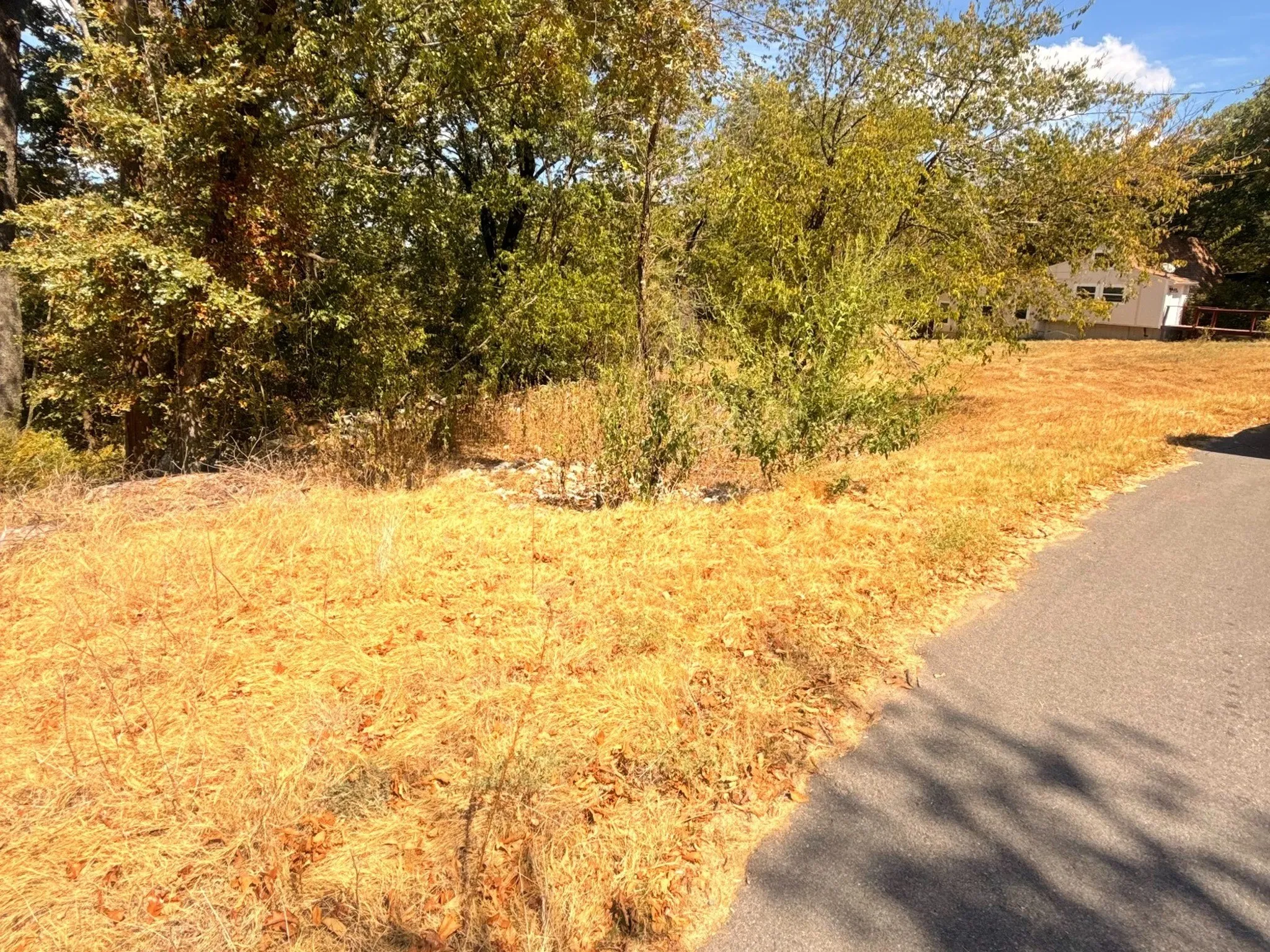 View Near Subject Property Frontage