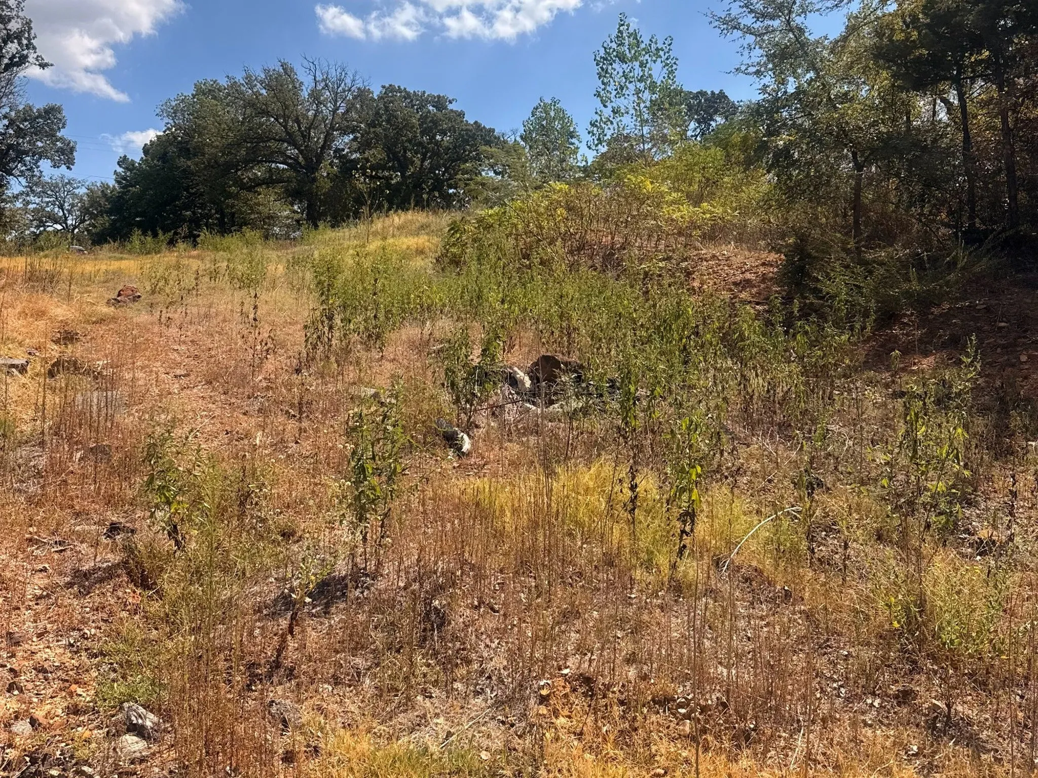 Unimproved Land For Sale in Grayson County , 616 E HULL Street, Denison, Texas 75021, 0, 0, Garage spaces, 0 Sqft, built in 0, mls#21400464, Real Estate Agent in Denison, Homes For Sale in Grayson county, Homes For Sale in Denison, Realtor in Denison Texas, Real Estate Brokerage Independent Realty Texas, Luminita Cordes Realtor