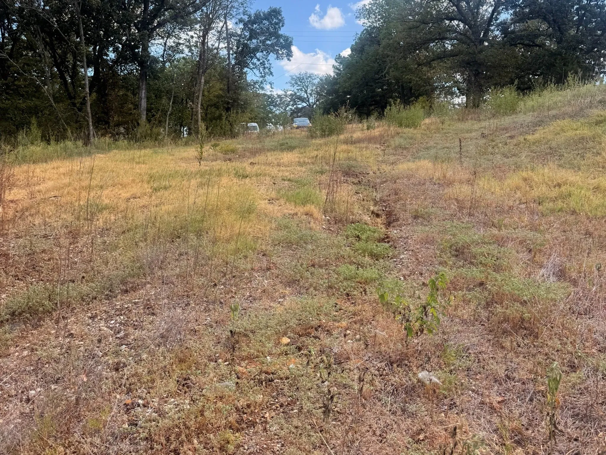 Unimproved Land For Sale in Grayson County , 616 E HULL Street, Denison, Texas 75021, 0, 0, Garage spaces, 0 Sqft, built in 0, mls#21400464, Real Estate Agent in Denison, Homes For Sale in Grayson county, Homes For Sale in Denison, Realtor in Denison Texas, Real Estate Brokerage Independent Realty Texas, Luminita Cordes Realtor
