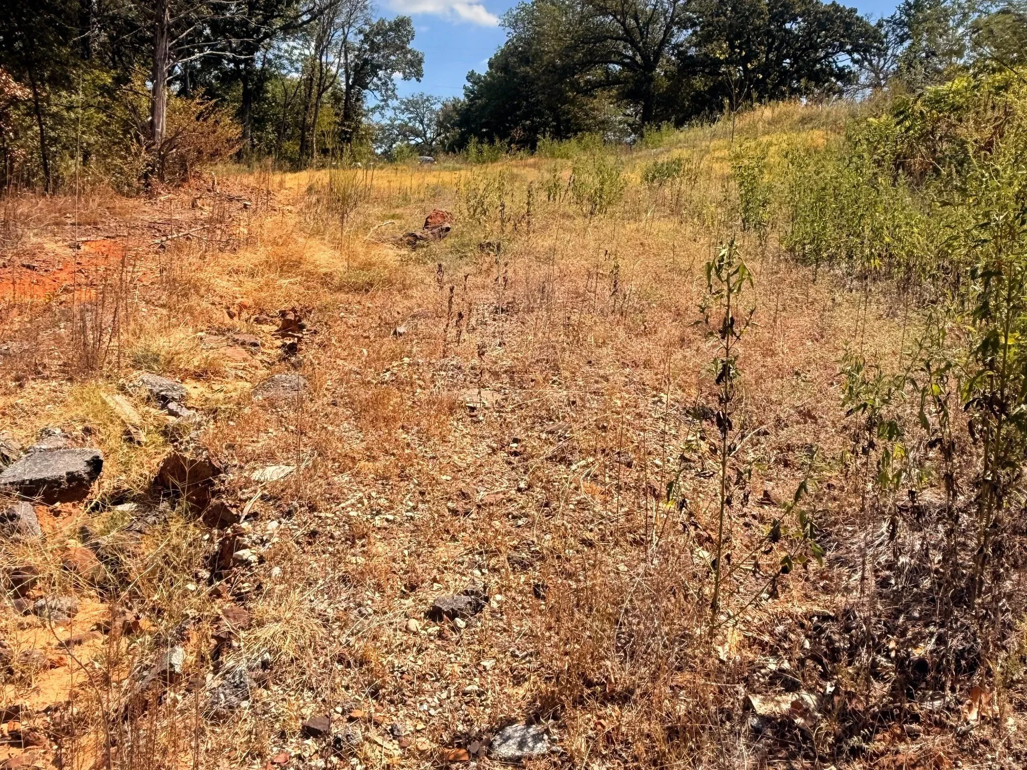 Unimproved Land For Sale in Grayson County , 616 E HULL Street, Denison, Texas 75021, 0, 0, Garage spaces, 0 Sqft, built in 0, mls#21400464, Real Estate Agent in Denison, Homes For Sale in Grayson county, Homes For Sale in Denison, Realtor in Denison Texas, Real Estate Brokerage Independent Realty Texas, Luminita Cordes Realtor