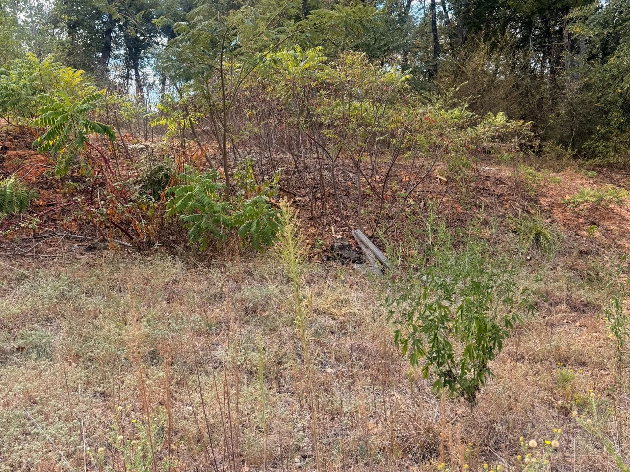Unimproved Land For Sale in Grayson County , 616 E HULL Street, Denison, Texas 75021, 0, 0, Garage spaces, 0 Sqft, built in 0, mls#21400464, Real Estate Agent in Denison, Homes For Sale in Grayson county, Homes For Sale in Denison, Realtor in Denison Texas, Real Estate Brokerage Independent Realty Texas, Luminita Cordes Realtor