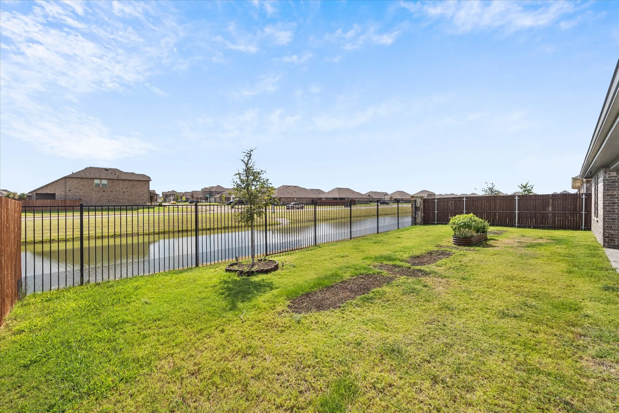 Fenced backyard