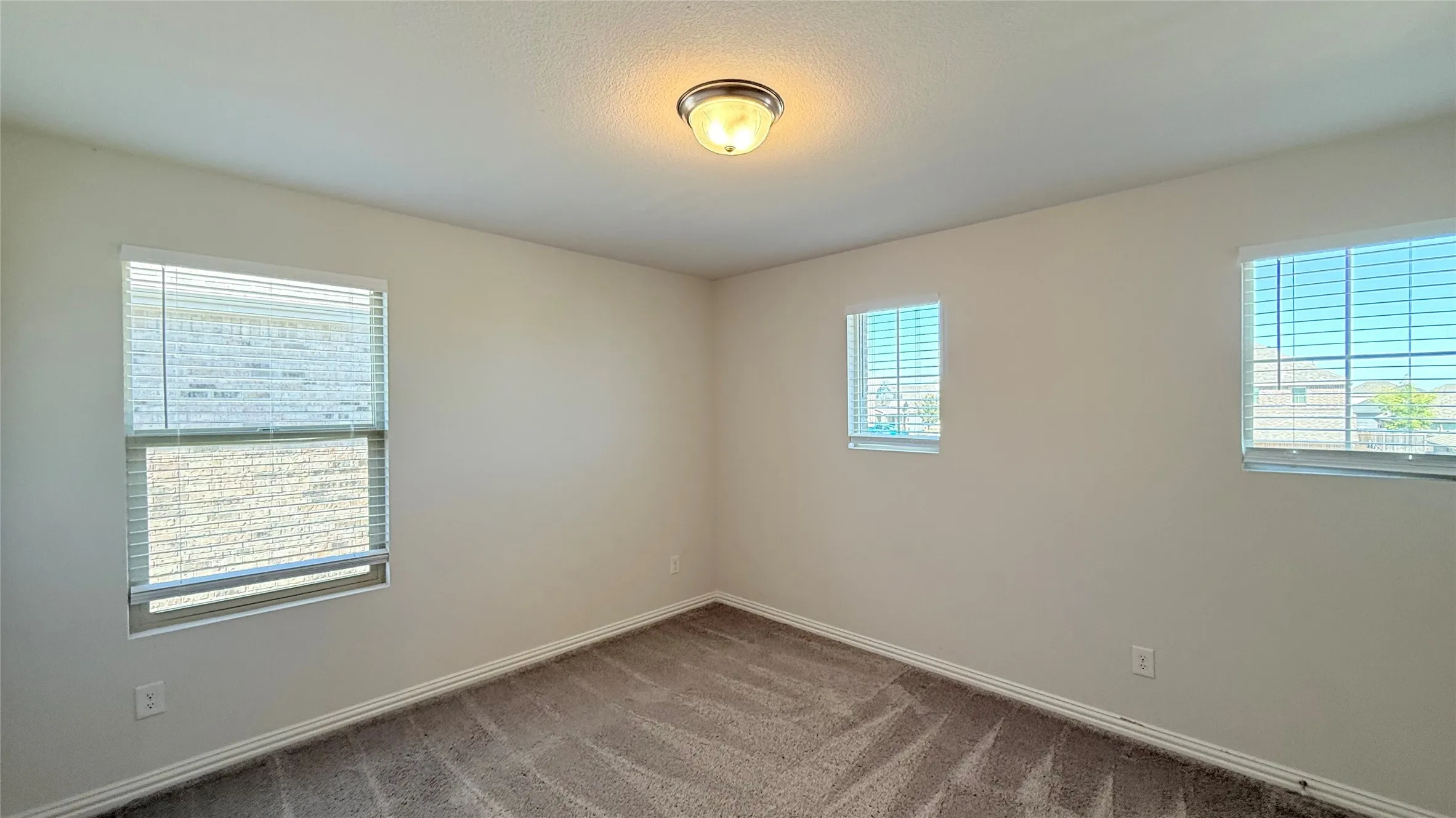 Neutral wall paint, carpet flooring, multiple windows, and a flush mount ceiling light