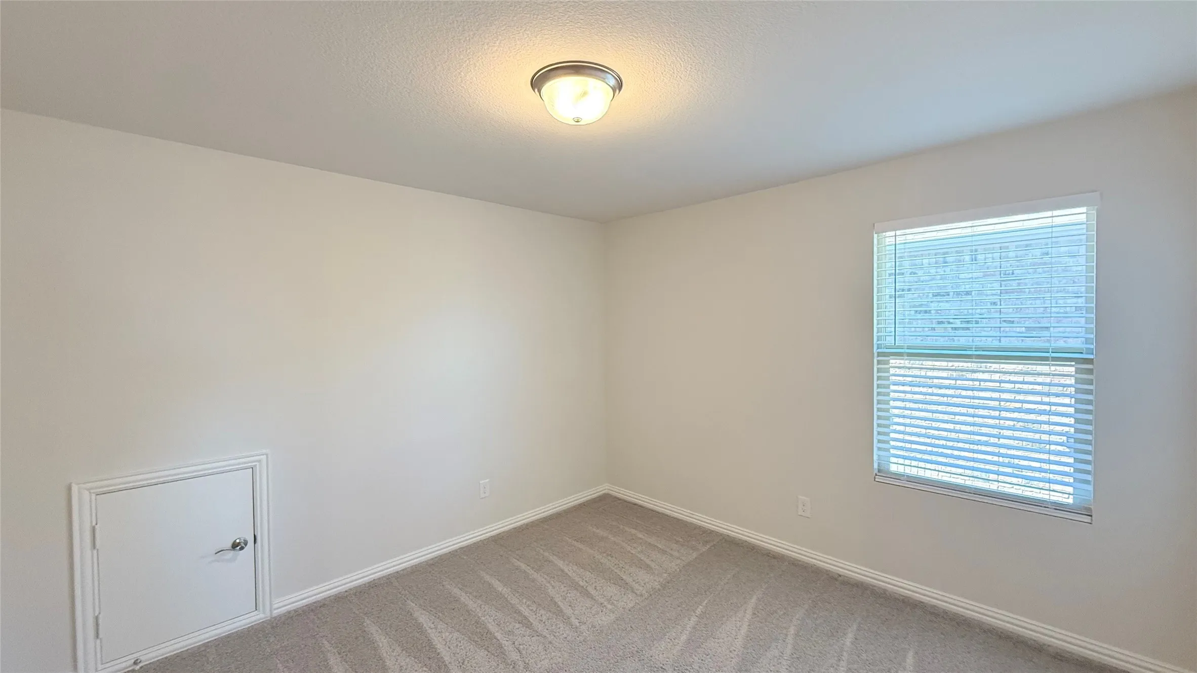 Neutral wall paint, ceiling-mounted light fixture, window with blinds, and patterned carpeting