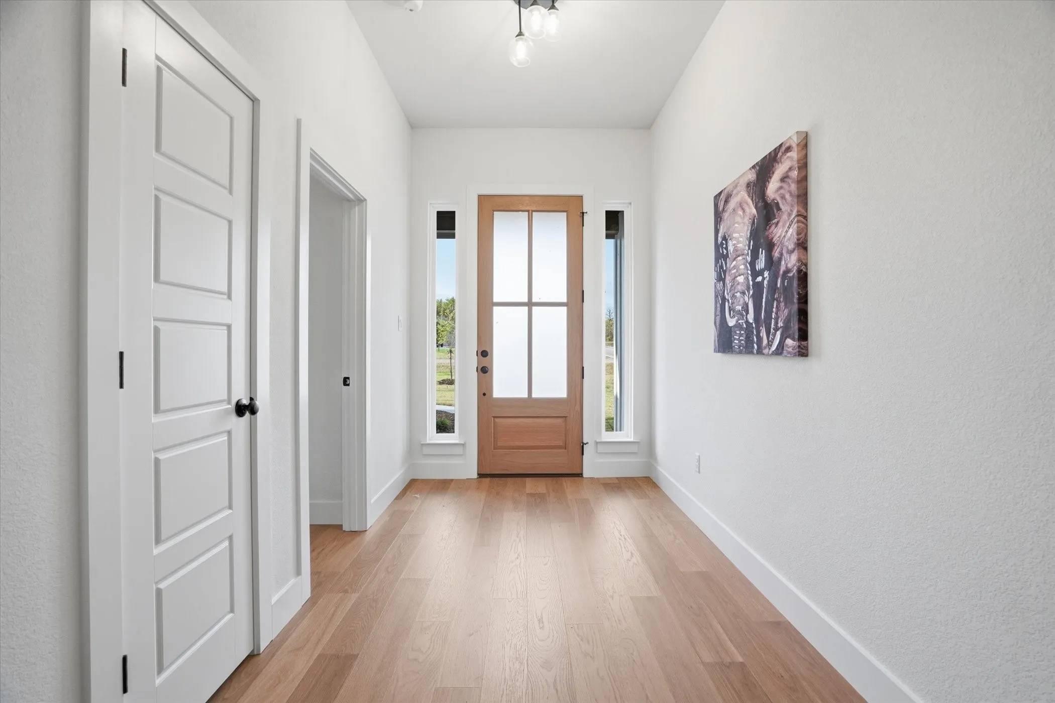 Entryway featuring wood-finish flooring, a wood-panel door with frosted glass, and two vertical side windows