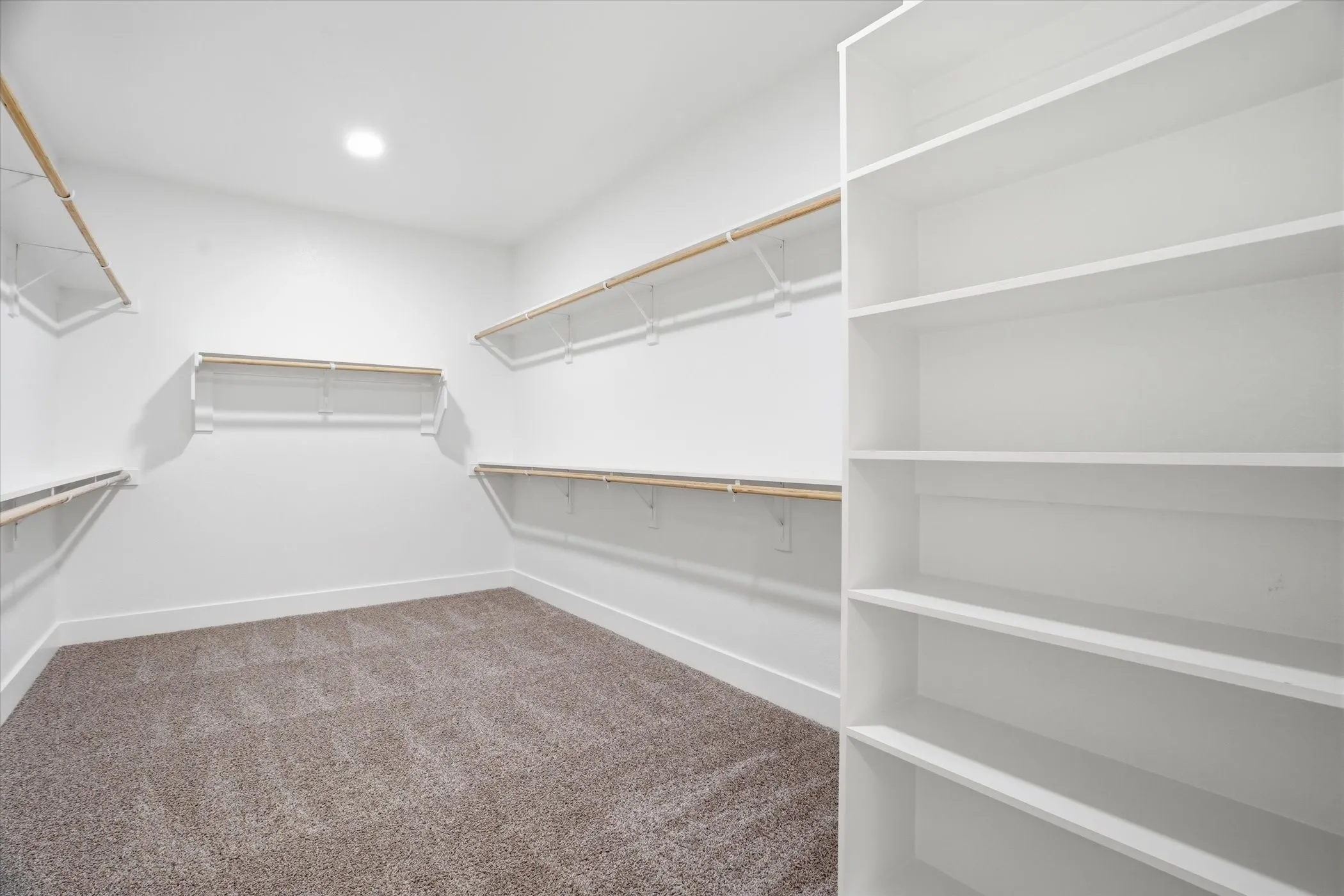 Expansive walk-in closet featuring built-in white shelving, wood-finish hanging rods, and plush carpet flooring