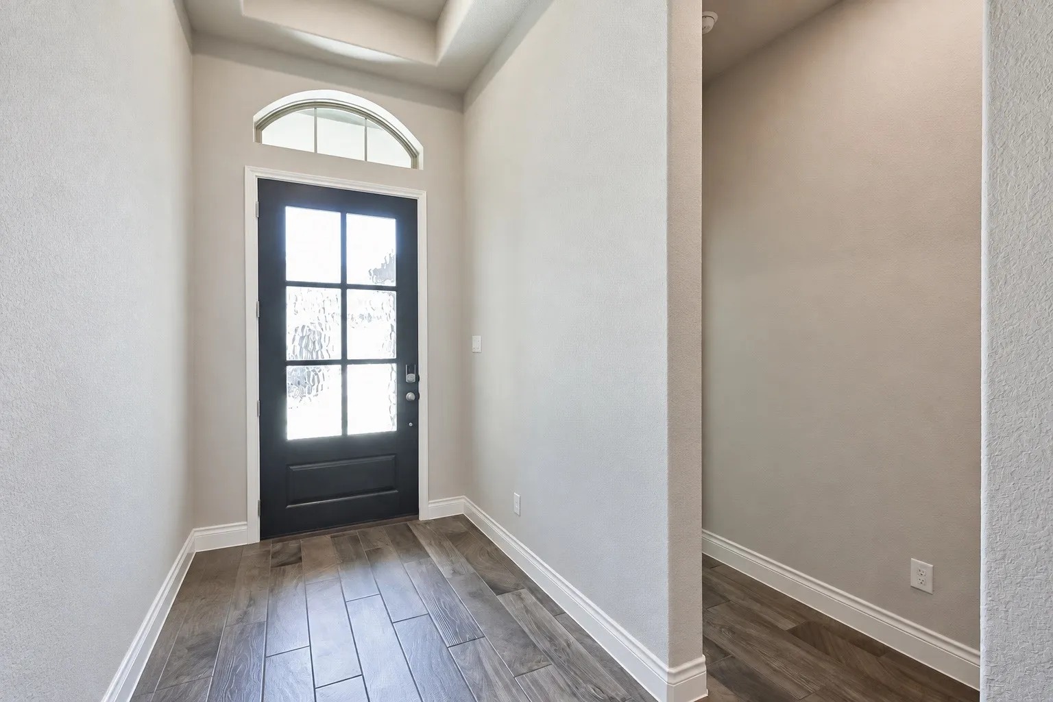 Entryway featuring a dark wood-paneled door with opaque glass inserts, an arched transom window, wood-finish flooring, and a tray ceiling