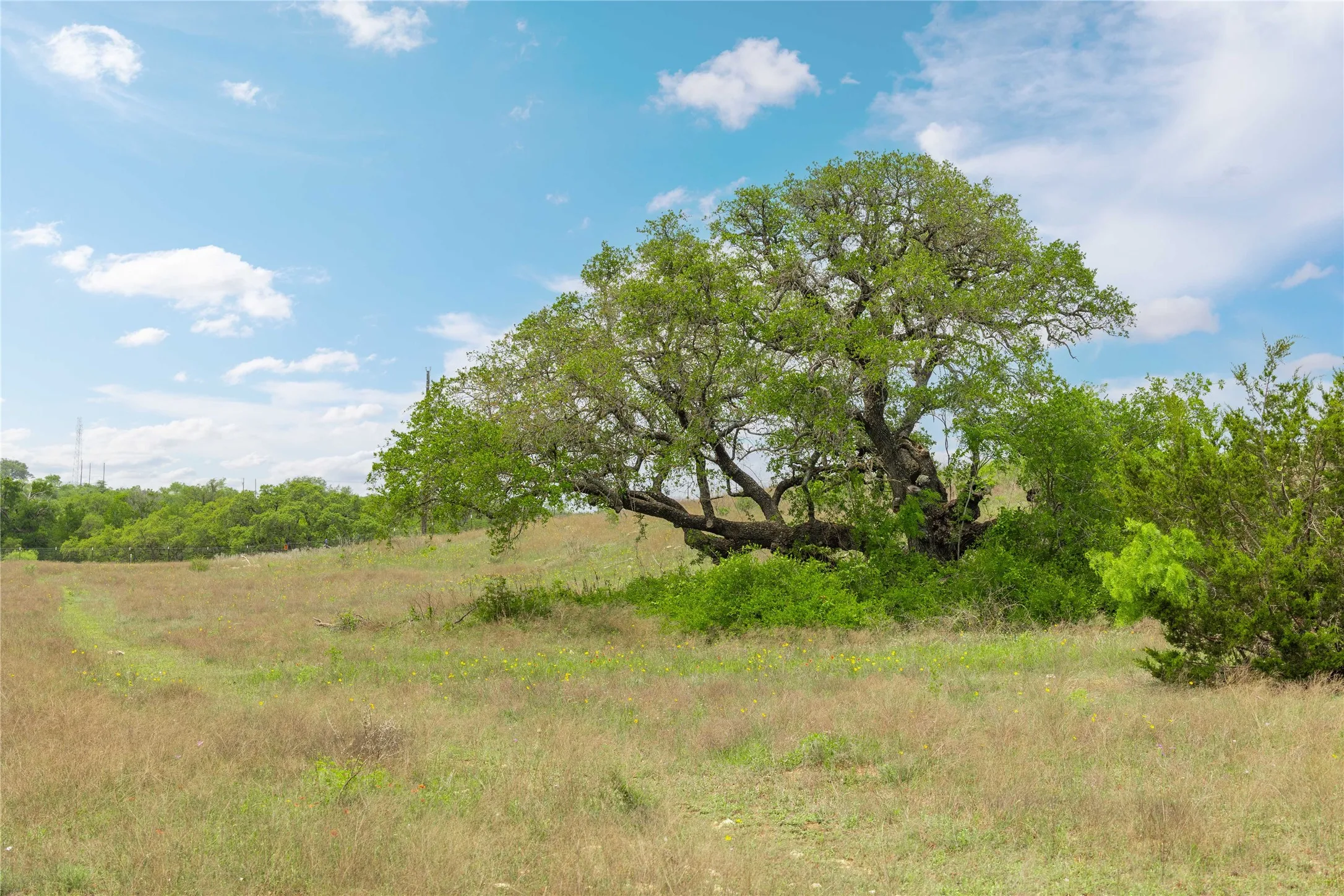 Ranch For Sale in Comanche County , TBD Comanche Hills Drive, Comanche, Texas 76442, 0, 0, Garage spaces, 0 Sqft, built in 0, mls#21405918, Real Estate Agent in Comanche, Homes For Sale in Comanche county, Homes For Sale in Comanche, Realtor in Comanche Texas, Real Estate Brokerage Independent Realty Texas, Luminita Cordes Realtor