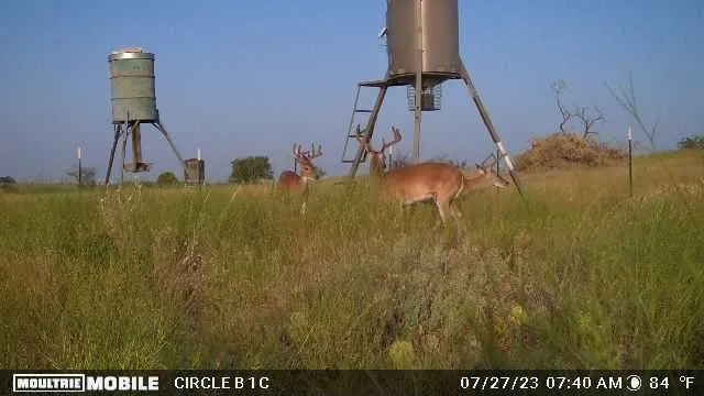 Ranch For Sale in Comanche County , TBD Comanche Hills Drive, Comanche, Texas 76442, 0, 0, Garage spaces, 0 Sqft, built in 0, mls#21405918, Real Estate Agent in Comanche, Homes For Sale in Comanche county, Homes For Sale in Comanche, Realtor in Comanche Texas, Real Estate Brokerage Independent Realty Texas, Luminita Cordes Realtor