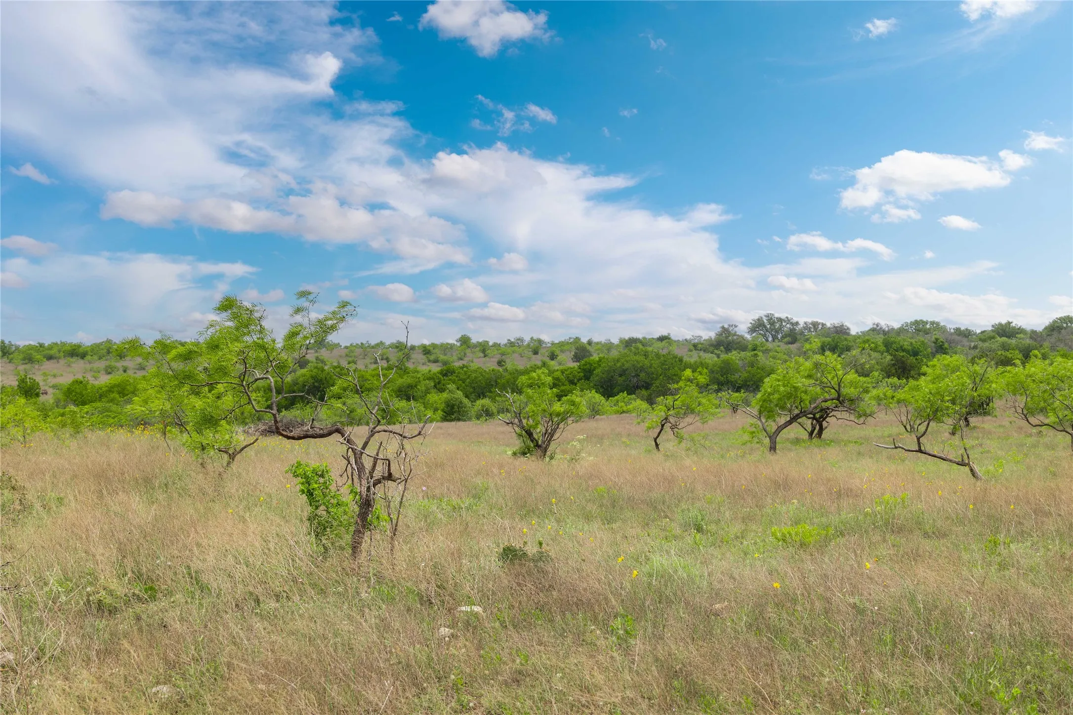 Ranch For Sale in Comanche County , TBD Comanche Hills Drive, Comanche, Texas 76442, 0, 0, Garage spaces, 0 Sqft, built in 0, mls#21405918, Real Estate Agent in Comanche, Homes For Sale in Comanche county, Homes For Sale in Comanche, Realtor in Comanche Texas, Real Estate Brokerage Independent Realty Texas, Luminita Cordes Realtor