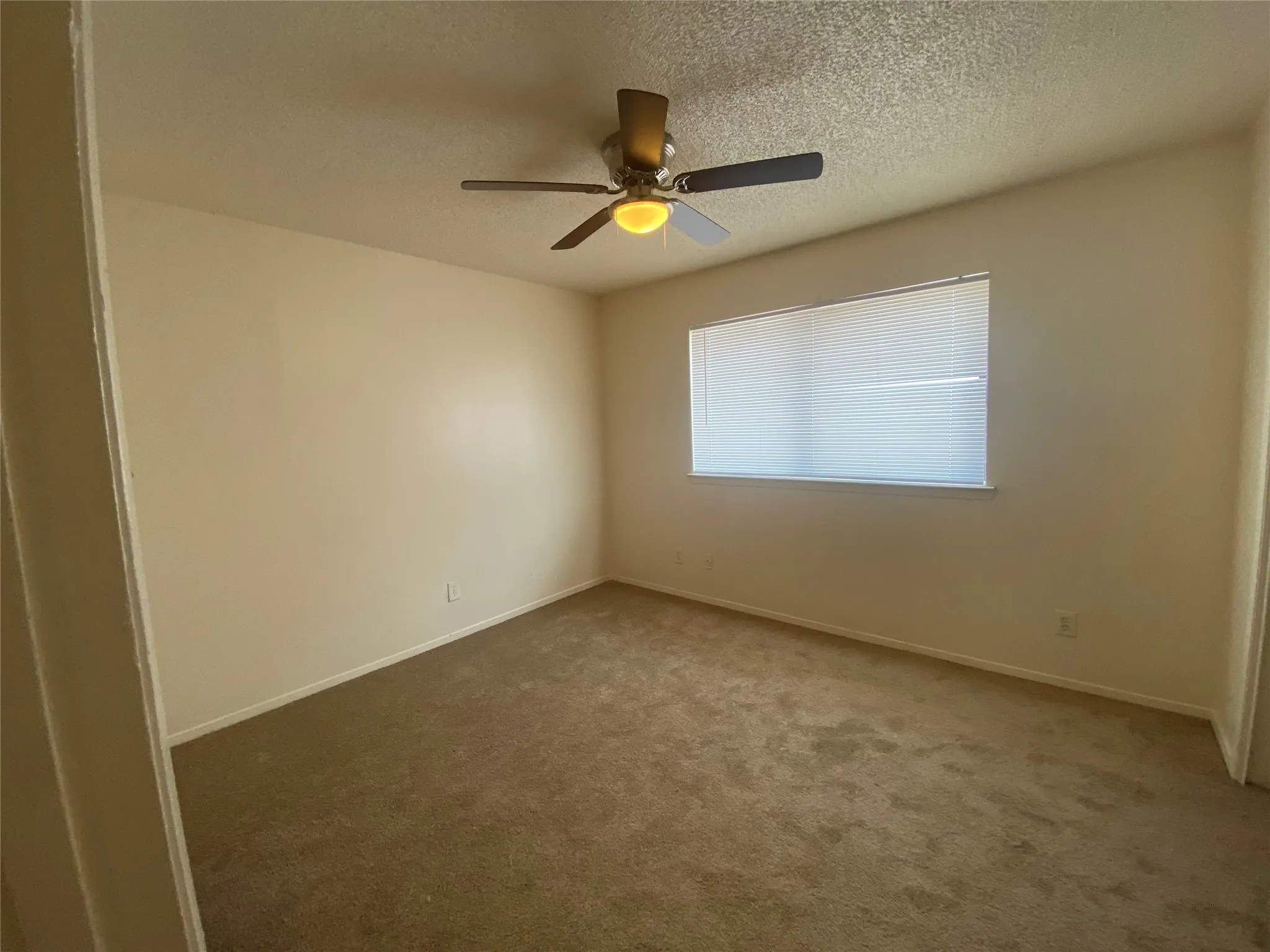 Unfurnished room featuring carpet, a ceiling fan, baseboards, and a textured ceiling