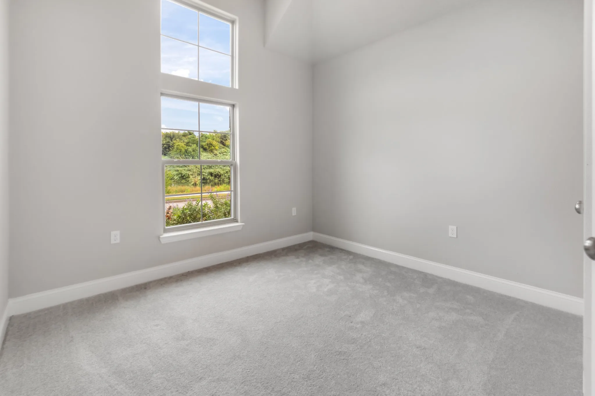 Tall windows featuring multiple panes