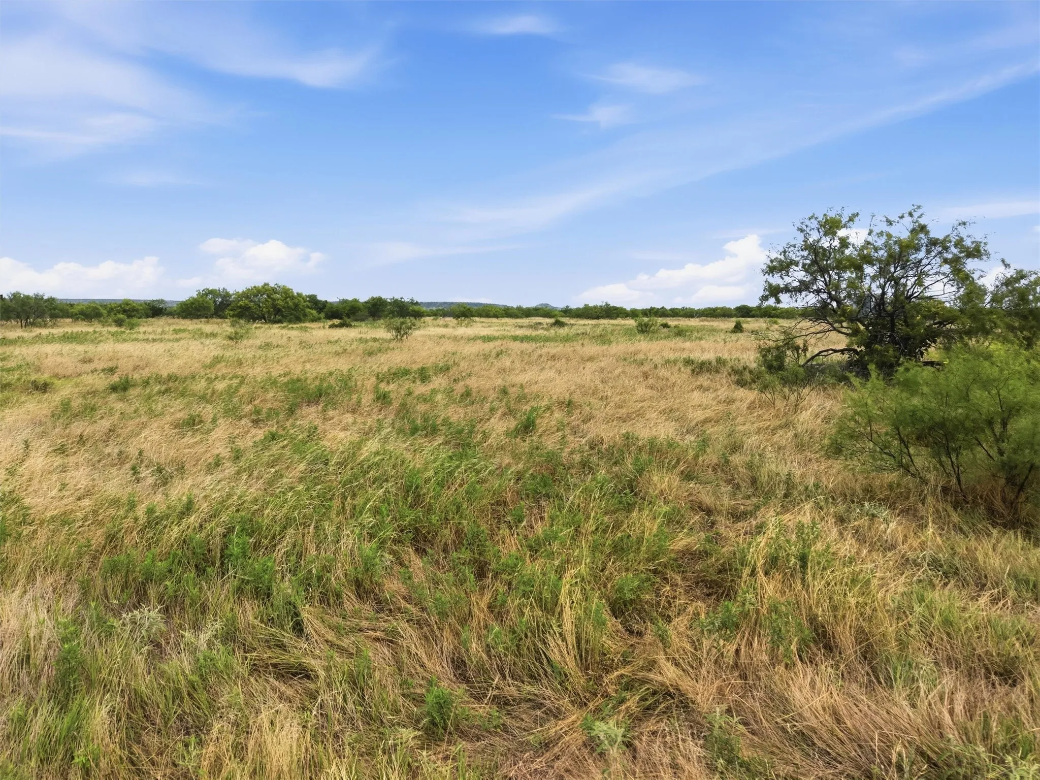 Ranch For Sale in Palo Pinto County , 100 Acres State Highway 16, Strawn, Texas 76475, 0, 0, Garage spaces, 0 Sqft, built in 0, mls#21405946, Real Estate Agent in Strawn, Homes For Sale in Palo Pinto county, Homes For Sale in Strawn, Realtor in Strawn Texas, Real Estate Brokerage Independent Realty Texas, Luminita Cordes Realtor