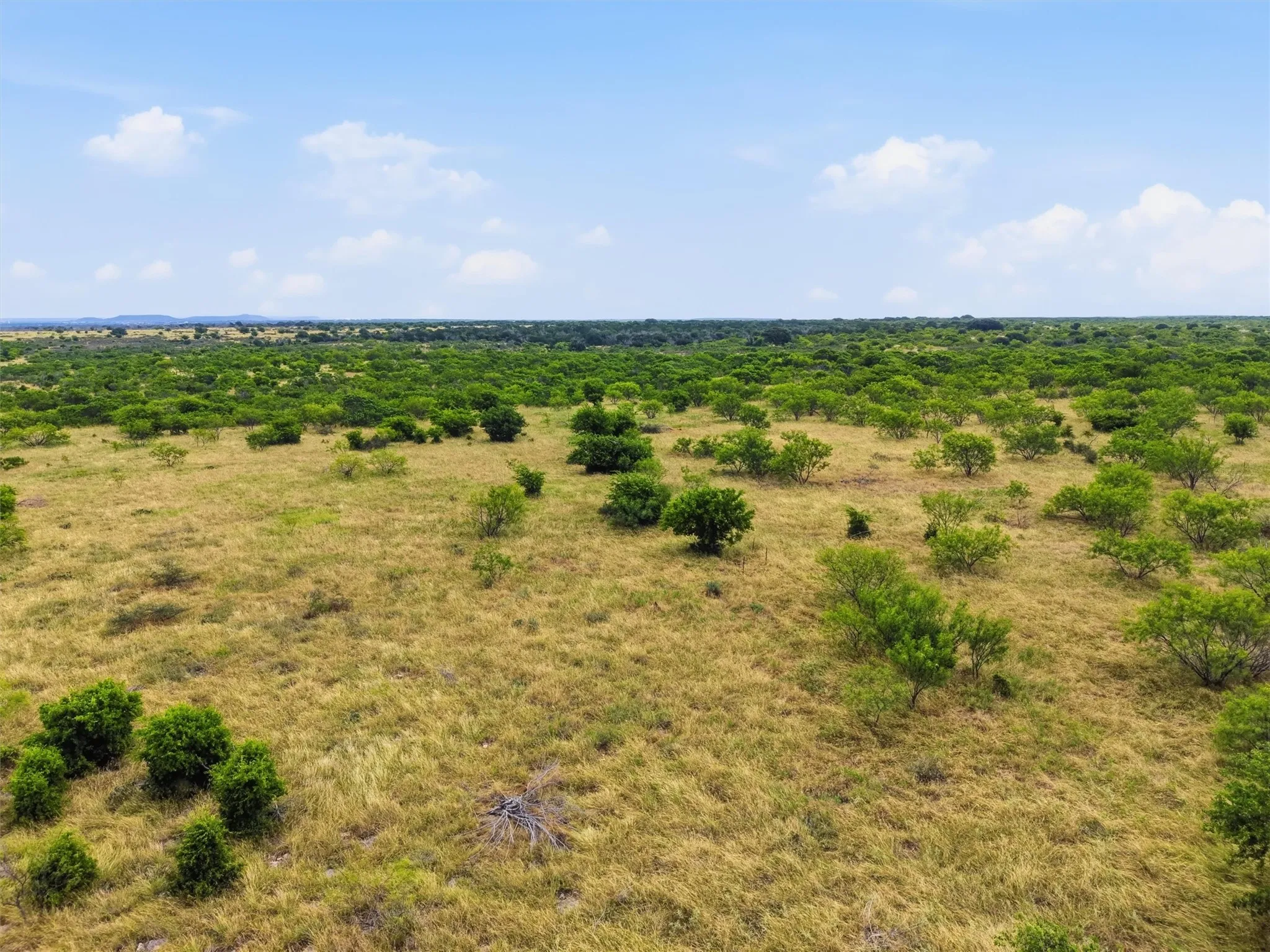 Ranch For Sale in Palo Pinto County , 100 Acres State Highway 16, Strawn, Texas 76475, 0, 0, Garage spaces, 0 Sqft, built in 0, mls#21405946, Real Estate Agent in Strawn, Homes For Sale in Palo Pinto county, Homes For Sale in Strawn, Realtor in Strawn Texas, Real Estate Brokerage Independent Realty Texas, Luminita Cordes Realtor