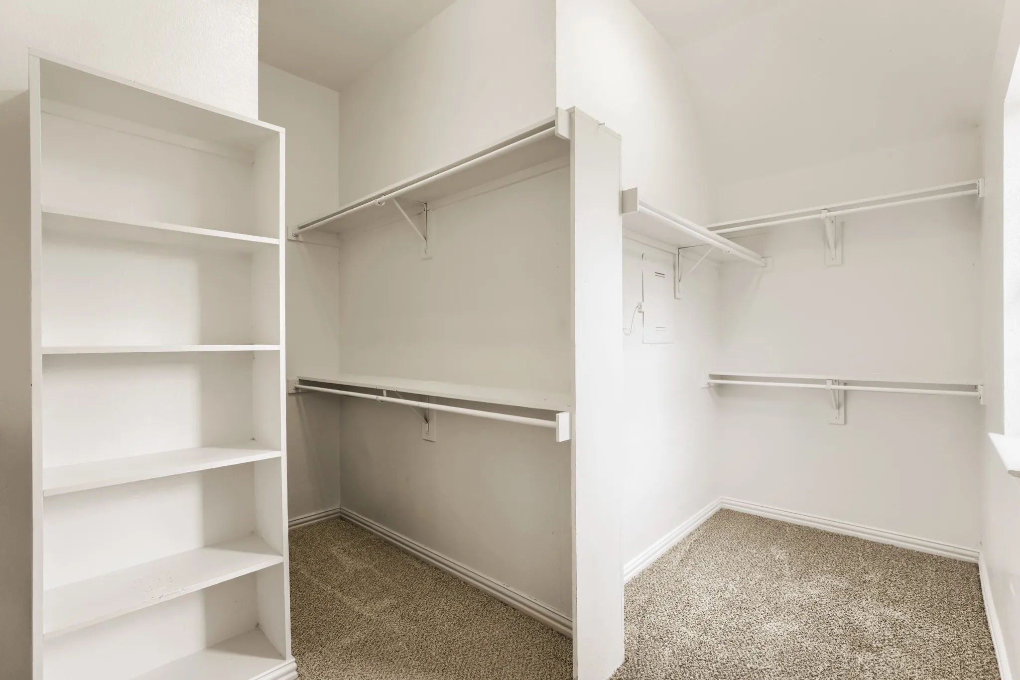 Walk-in closet with built-in shelving, integrated hanging rods, and carpet flooring