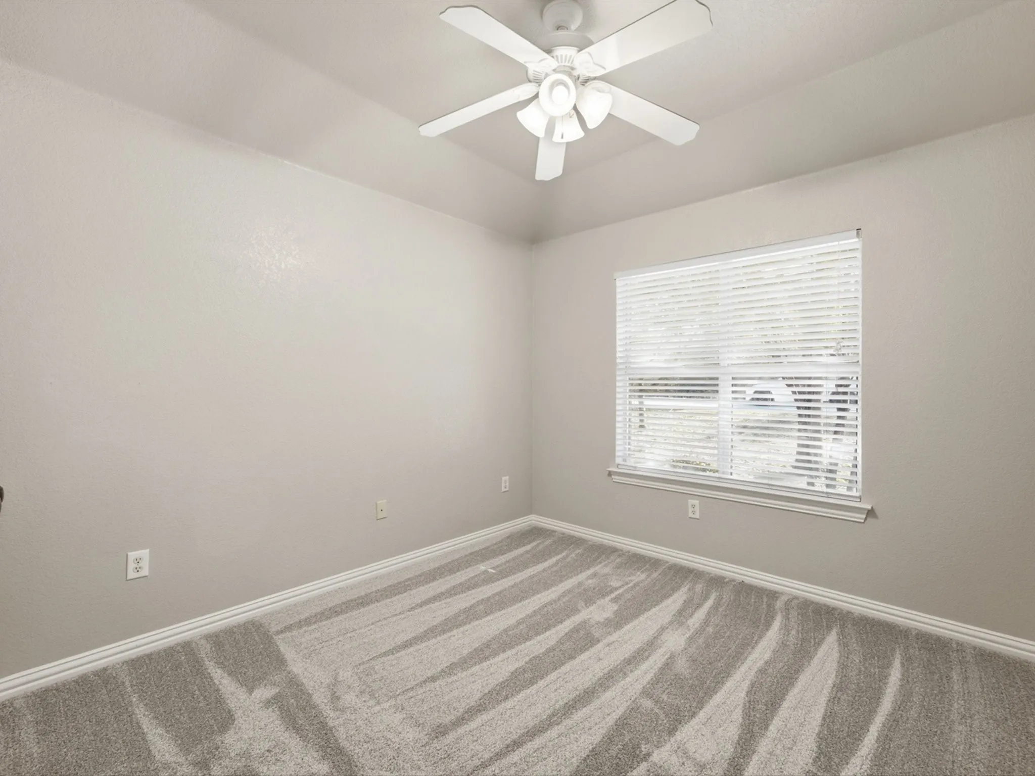 New carpet