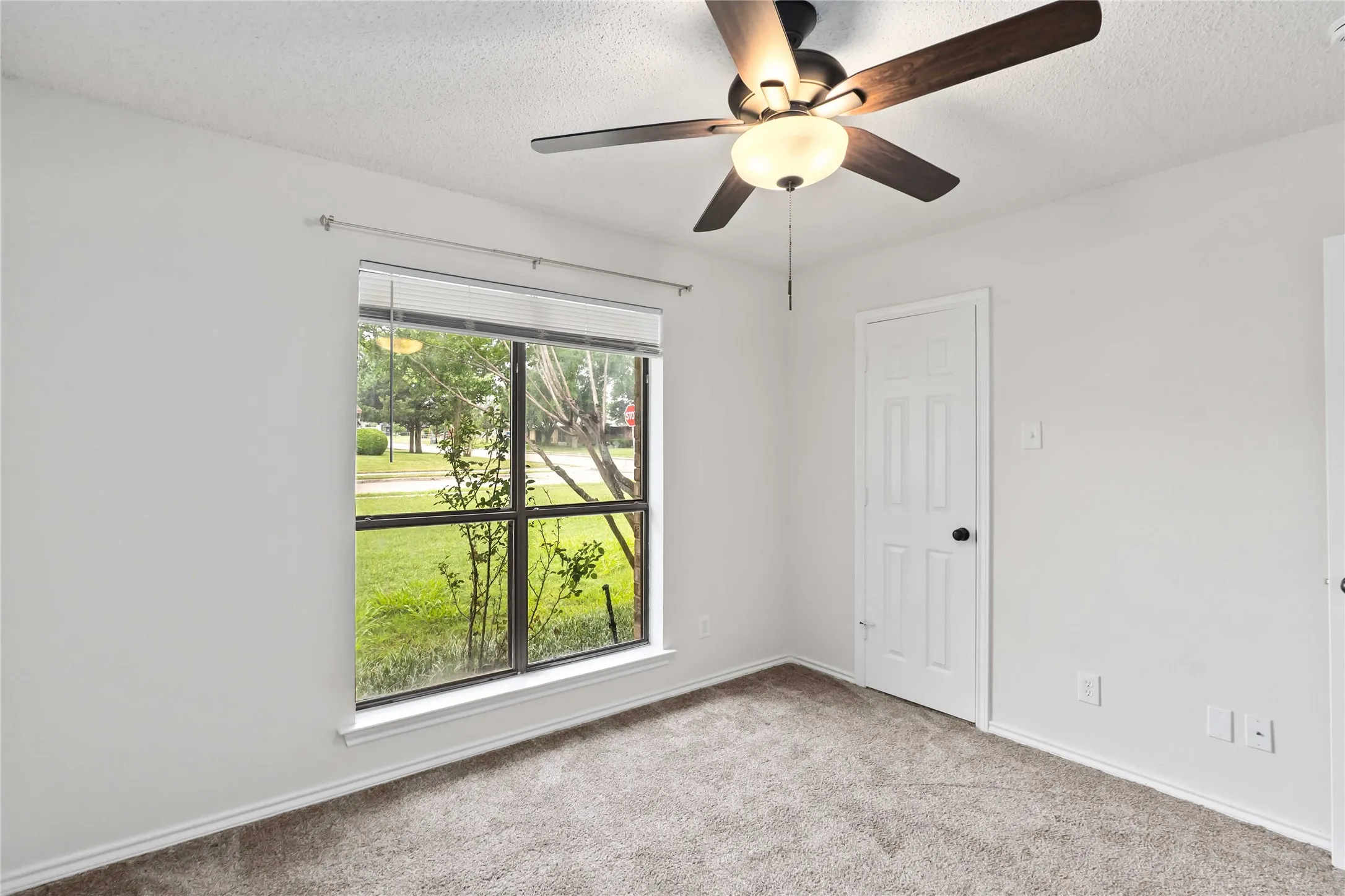Neutral wall paint with textured carpet flooring, complemented by a ceiling fan with light fixture