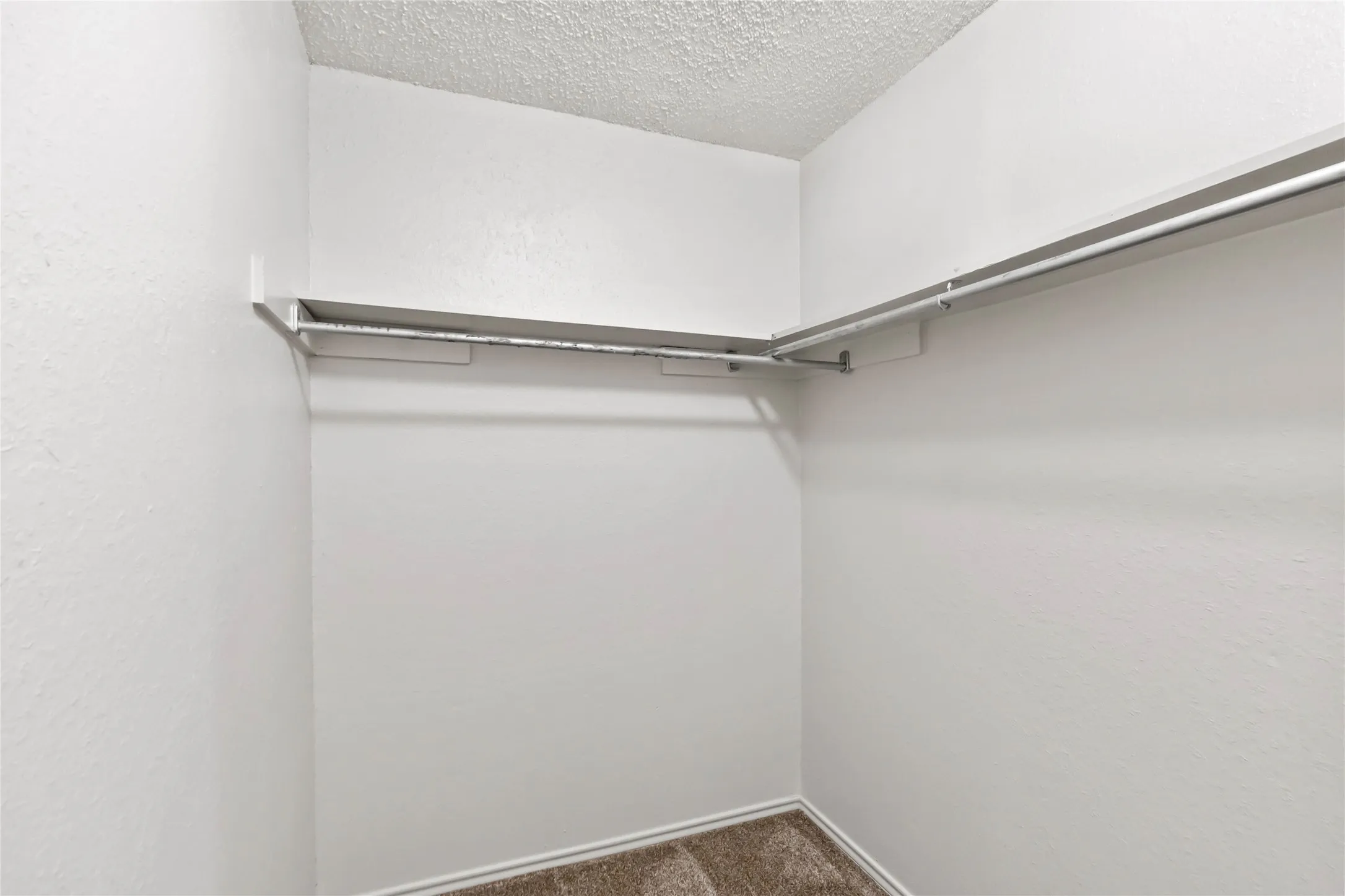 Walk-in closet featuring white walls, textured ceiling, and carpeted flooring
