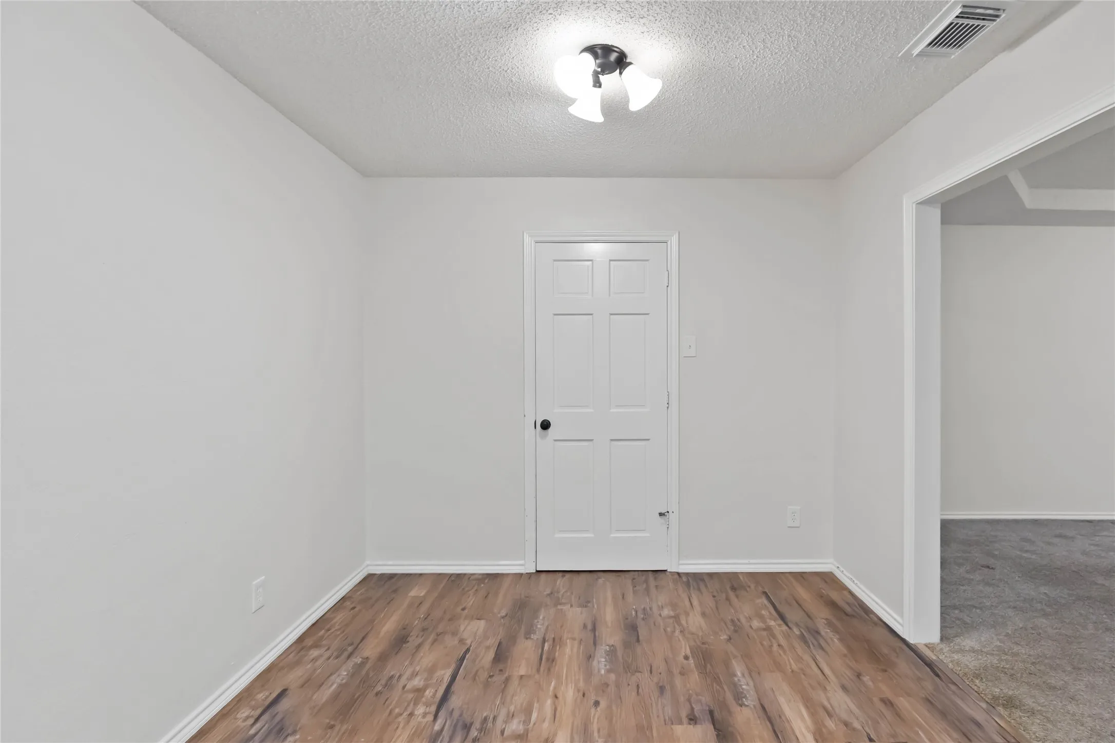 Room featuring wood-finish flooring, white painted walls, a six-panel interior door, and a flush-mount ceiling light fixture