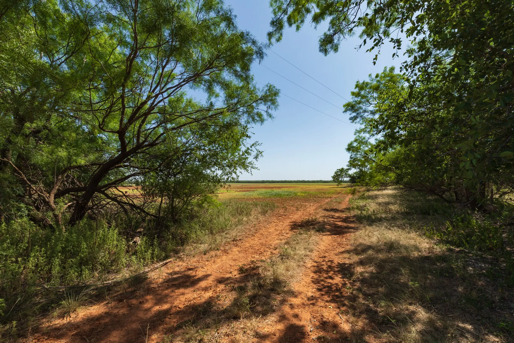 For Sale in Jones County , 9000 Private Road 496, Hawley, Texas 79525, 0, 0, Garage spaces, 0 Sqft, built in 1965, mls#21405995, Real Estate Agent in Hawley, Homes For Sale in Jones county, Homes For Sale in Hawley, Realtor in Hawley Texas, Real Estate Brokerage Independent Realty Texas, Luminita Cordes Realtor