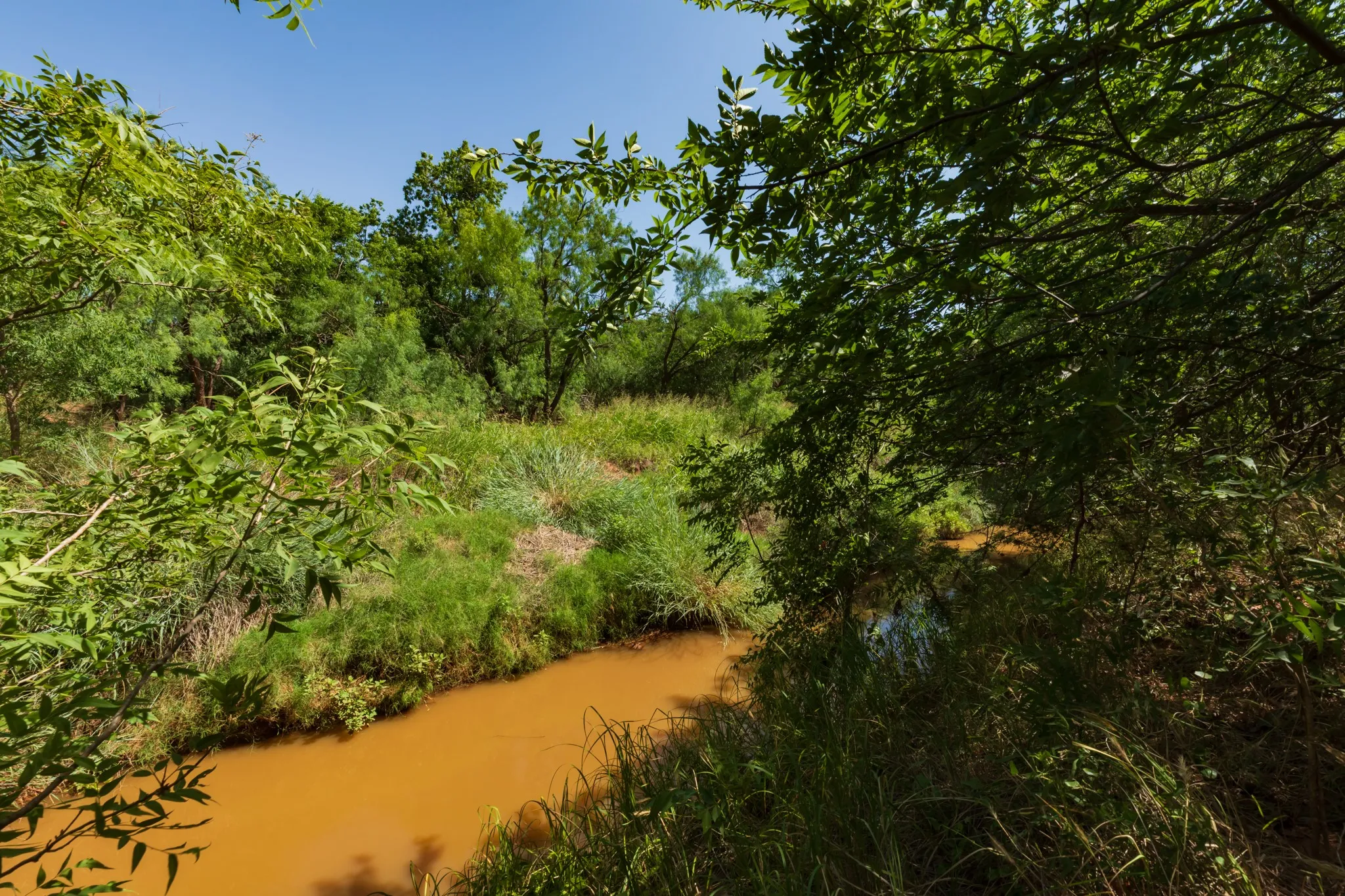 For Sale in Jones County , 9000 Private Road 496, Hawley, Texas 79525, 0, 0, Garage spaces, 0 Sqft, built in 1965, mls#21405995, Real Estate Agent in Hawley, Homes For Sale in Jones county, Homes For Sale in Hawley, Realtor in Hawley Texas, Real Estate Brokerage Independent Realty Texas, Luminita Cordes Realtor