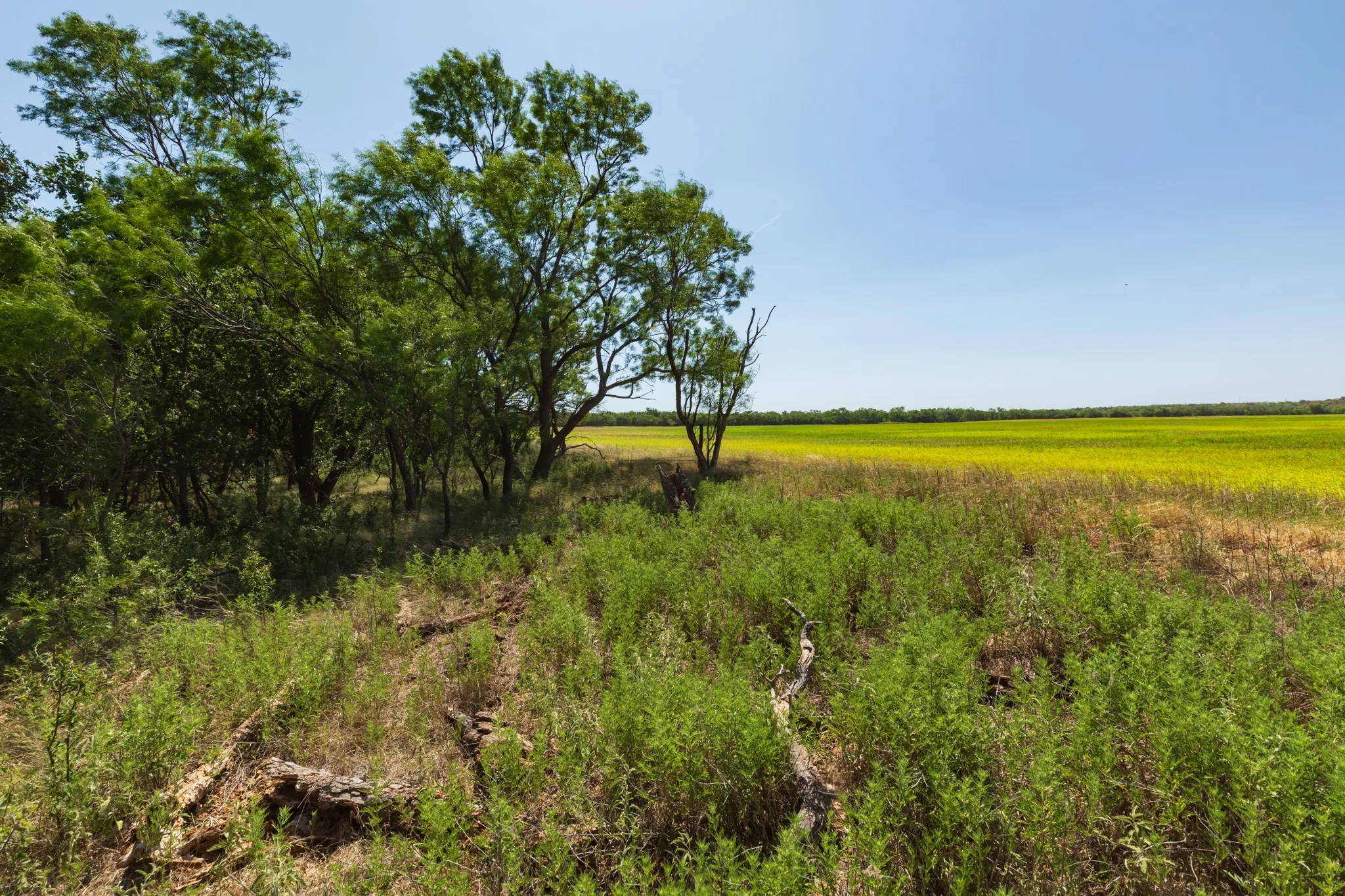 For Sale in Jones County , 9000 Private Road 496, Hawley, Texas 79525, 0, 0, Garage spaces, 0 Sqft, built in 1965, mls#21405995, Real Estate Agent in Hawley, Homes For Sale in Jones county, Homes For Sale in Hawley, Realtor in Hawley Texas, Real Estate Brokerage Independent Realty Texas, Luminita Cordes Realtor