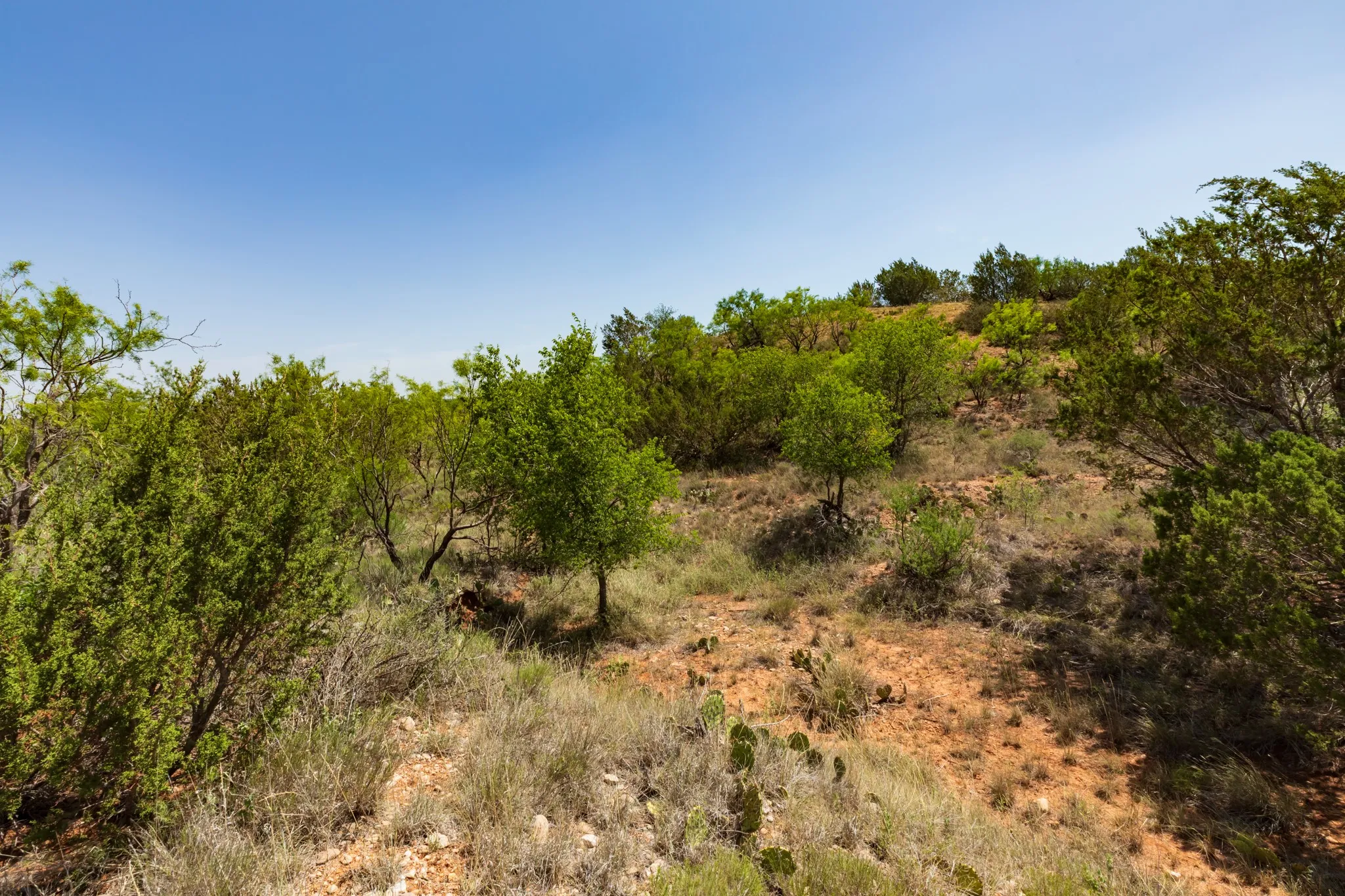 For Sale in Jones County , 9000 Private Road 496, Hawley, Texas 79525, 0, 0, Garage spaces, 0 Sqft, built in 1965, mls#21405995, Real Estate Agent in Hawley, Homes For Sale in Jones county, Homes For Sale in Hawley, Realtor in Hawley Texas, Real Estate Brokerage Independent Realty Texas, Luminita Cordes Realtor