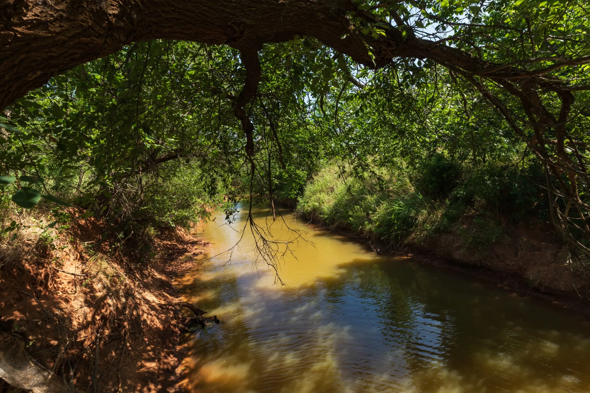 For Sale in Jones County , 9000 Private Road 496, Hawley, Texas 79525, 0, 0, Garage spaces, 0 Sqft, built in 1965, mls#21405995, Real Estate Agent in Hawley, Homes For Sale in Jones county, Homes For Sale in Hawley, Realtor in Hawley Texas, Real Estate Brokerage Independent Realty Texas, Luminita Cordes Realtor