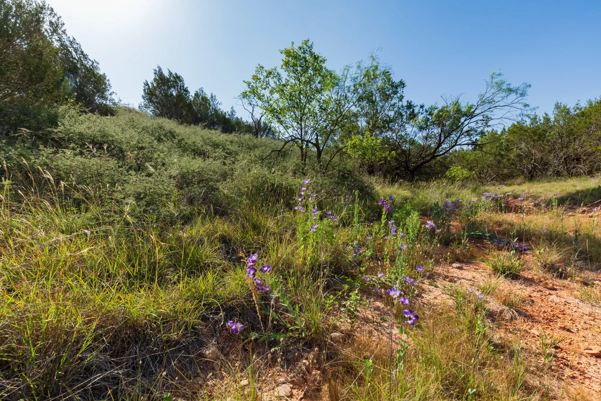 For Sale in Jones County , 9000 Private Road 496, Hawley, Texas 79525, 0, 0, Garage spaces, 0 Sqft, built in 1965, mls#21405995, Real Estate Agent in Hawley, Homes For Sale in Jones county, Homes For Sale in Hawley, Realtor in Hawley Texas, Real Estate Brokerage Independent Realty Texas, Luminita Cordes Realtor