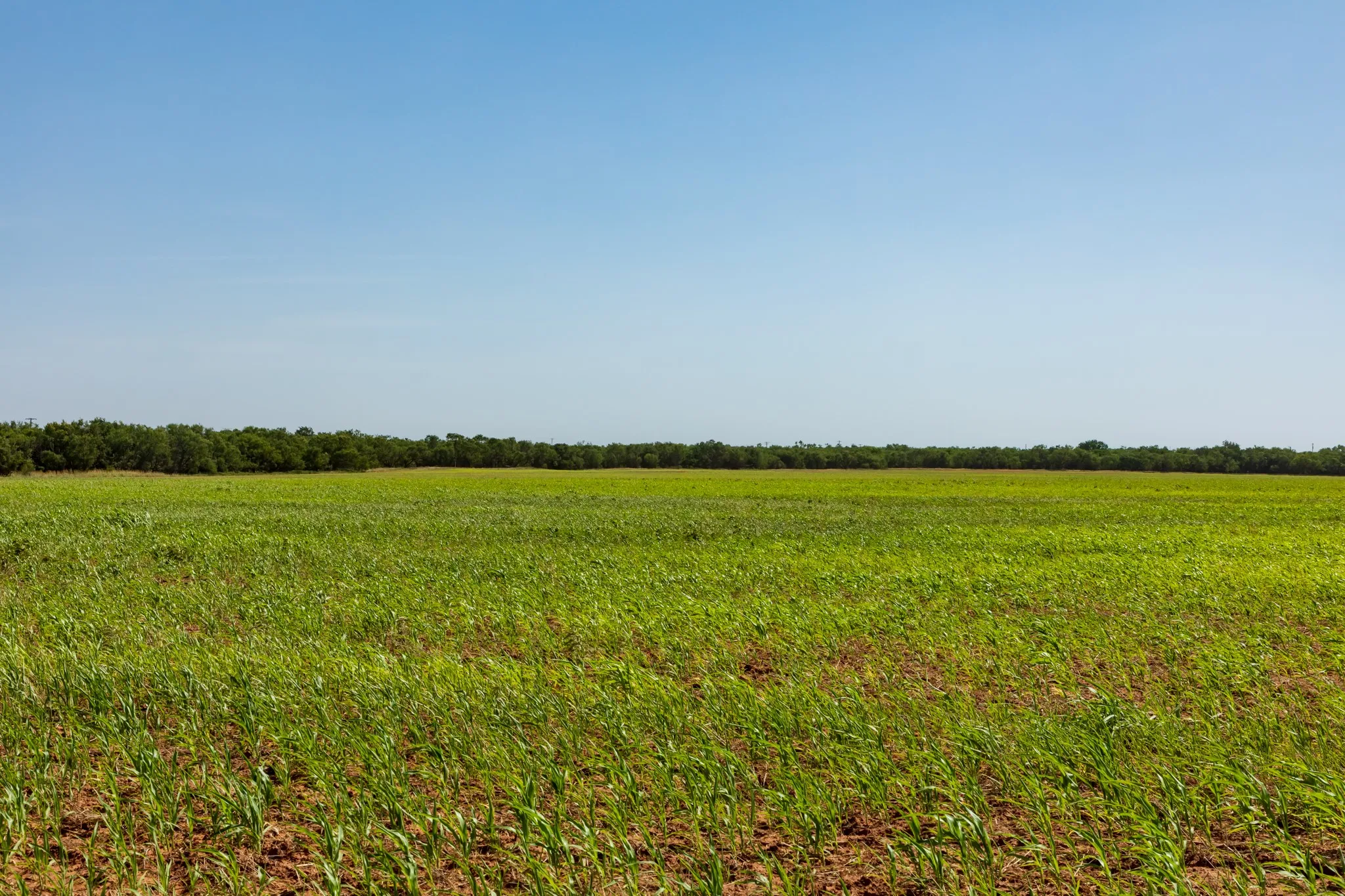 For Sale in Jones County , 9000 Private Road 496, Hawley, Texas 79525, 0, 0, Garage spaces, 0 Sqft, built in 1965, mls#21405995, Real Estate Agent in Hawley, Homes For Sale in Jones county, Homes For Sale in Hawley, Realtor in Hawley Texas, Real Estate Brokerage Independent Realty Texas, Luminita Cordes Realtor