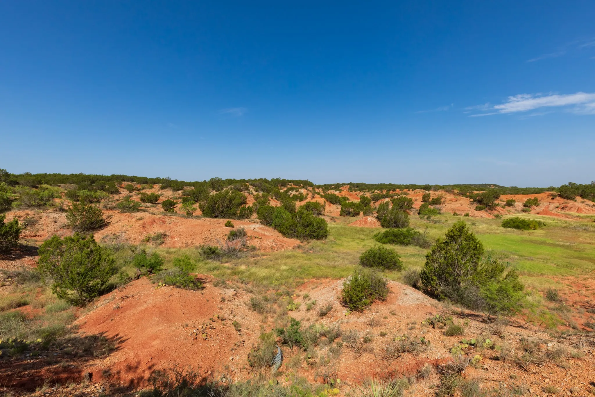For Sale in Jones County , 9000 Private Road 496, Hawley, Texas 79525, 0, 0, Garage spaces, 0 Sqft, built in 1965, mls#21405995, Real Estate Agent in Hawley, Homes For Sale in Jones county, Homes For Sale in Hawley, Realtor in Hawley Texas, Real Estate Brokerage Independent Realty Texas, Luminita Cordes Realtor