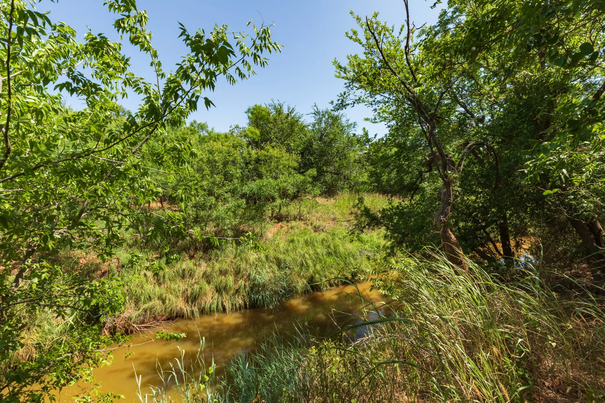 For Sale in Jones County , 9000 Private Road 496, Hawley, Texas 79525, 0, 0, Garage spaces, 0 Sqft, built in 1965, mls#21405995, Real Estate Agent in Hawley, Homes For Sale in Jones county, Homes For Sale in Hawley, Realtor in Hawley Texas, Real Estate Brokerage Independent Realty Texas, Luminita Cordes Realtor