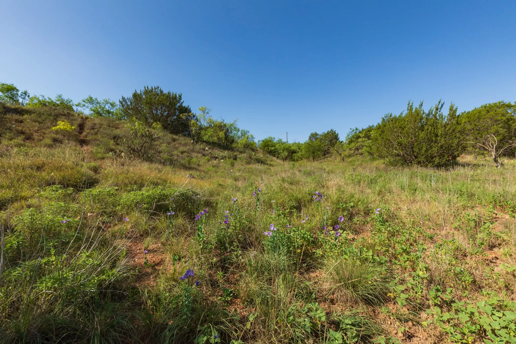 For Sale in Jones County , 9000 Private Road 496, Hawley, Texas 79525, 0, 0, Garage spaces, 0 Sqft, built in 1965, mls#21405995, Real Estate Agent in Hawley, Homes For Sale in Jones county, Homes For Sale in Hawley, Realtor in Hawley Texas, Real Estate Brokerage Independent Realty Texas, Luminita Cordes Realtor