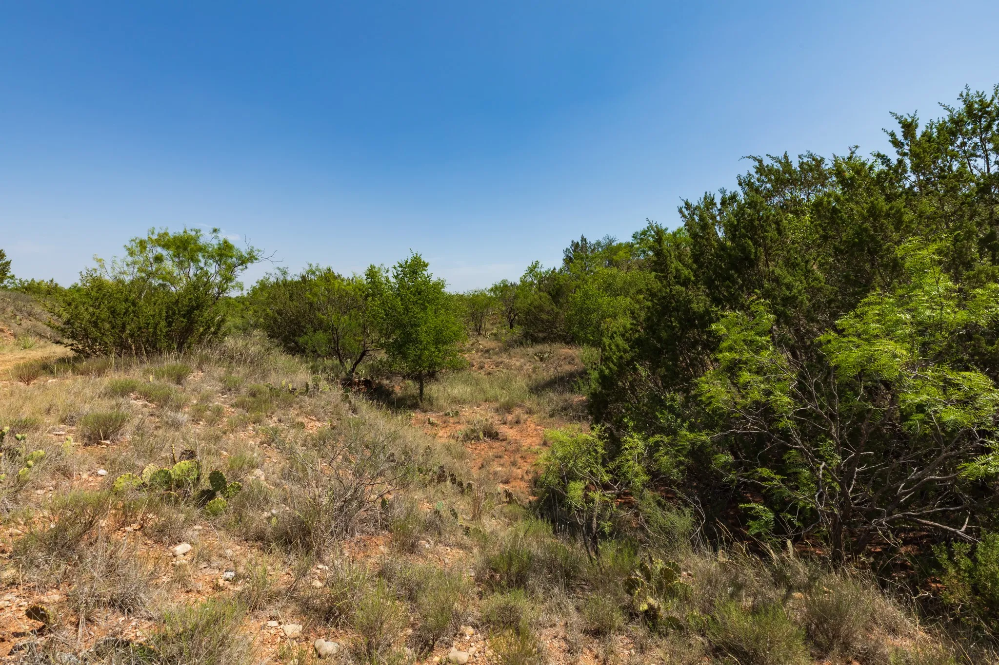 For Sale in Jones County , 9000 Private Road 496, Hawley, Texas 79525, 0, 0, Garage spaces, 0 Sqft, built in 1965, mls#21405995, Real Estate Agent in Hawley, Homes For Sale in Jones county, Homes For Sale in Hawley, Realtor in Hawley Texas, Real Estate Brokerage Independent Realty Texas, Luminita Cordes Realtor