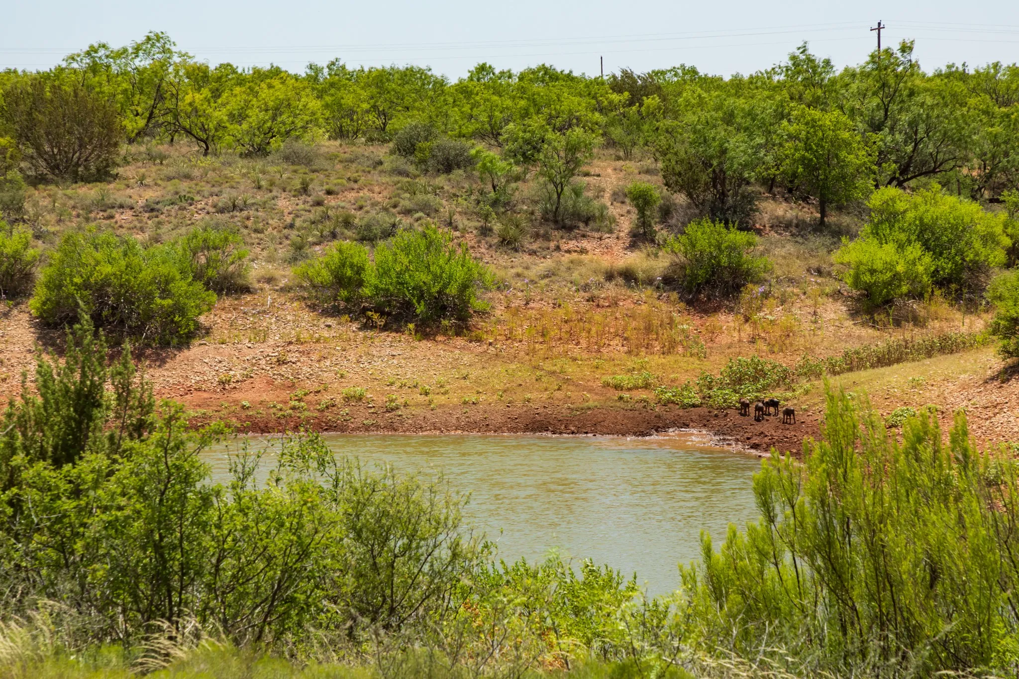 For Sale in Jones County , 9000 Private Road 496, Hawley, Texas 79525, 0, 0, Garage spaces, 0 Sqft, built in 1965, mls#21405995, Real Estate Agent in Hawley, Homes For Sale in Jones county, Homes For Sale in Hawley, Realtor in Hawley Texas, Real Estate Brokerage Independent Realty Texas, Luminita Cordes Realtor