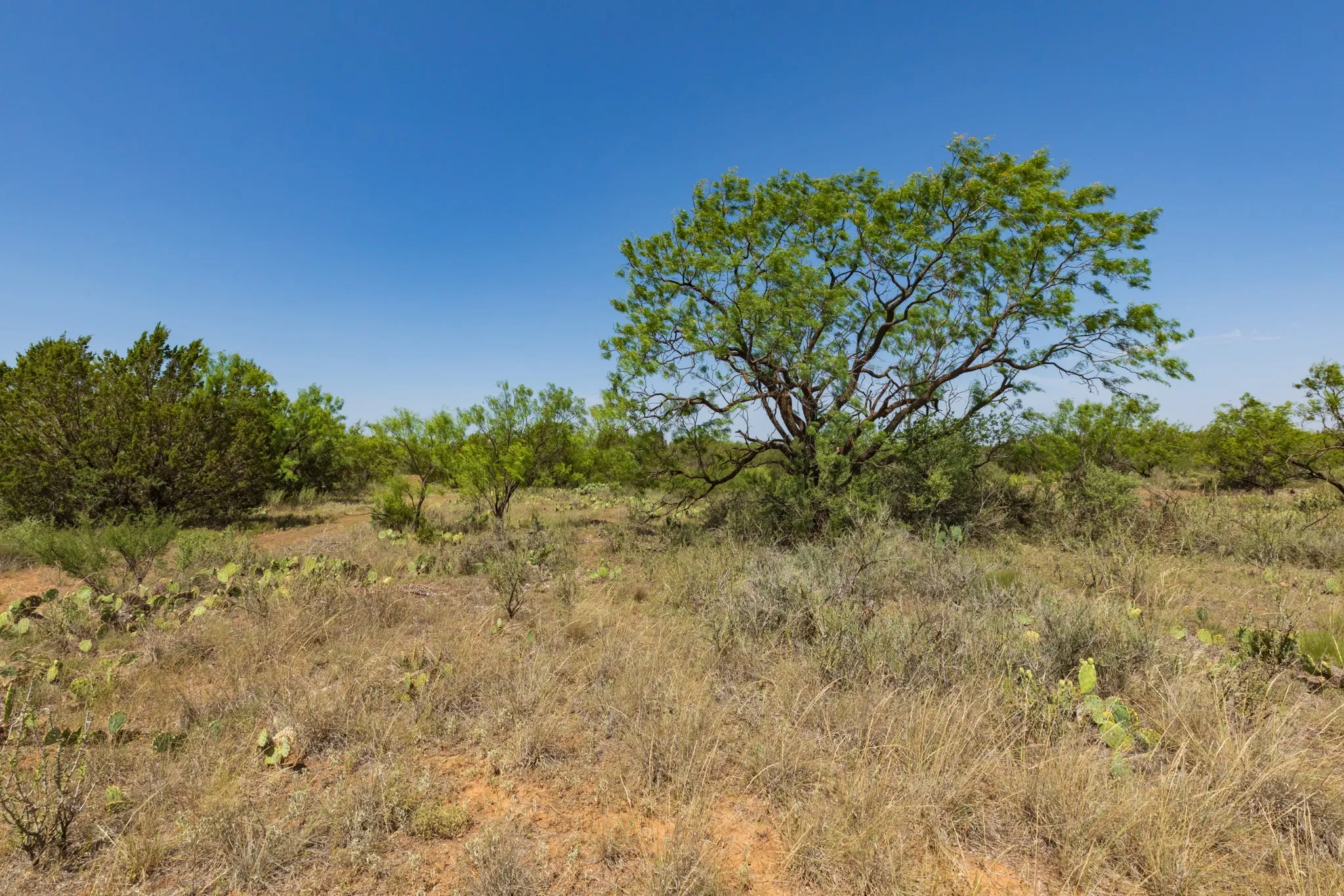 For Sale in Jones County , 9000 Private Road 496, Hawley, Texas 79525, 0, 0, Garage spaces, 0 Sqft, built in 1965, mls#21405995, Real Estate Agent in Hawley, Homes For Sale in Jones county, Homes For Sale in Hawley, Realtor in Hawley Texas, Real Estate Brokerage Independent Realty Texas, Luminita Cordes Realtor