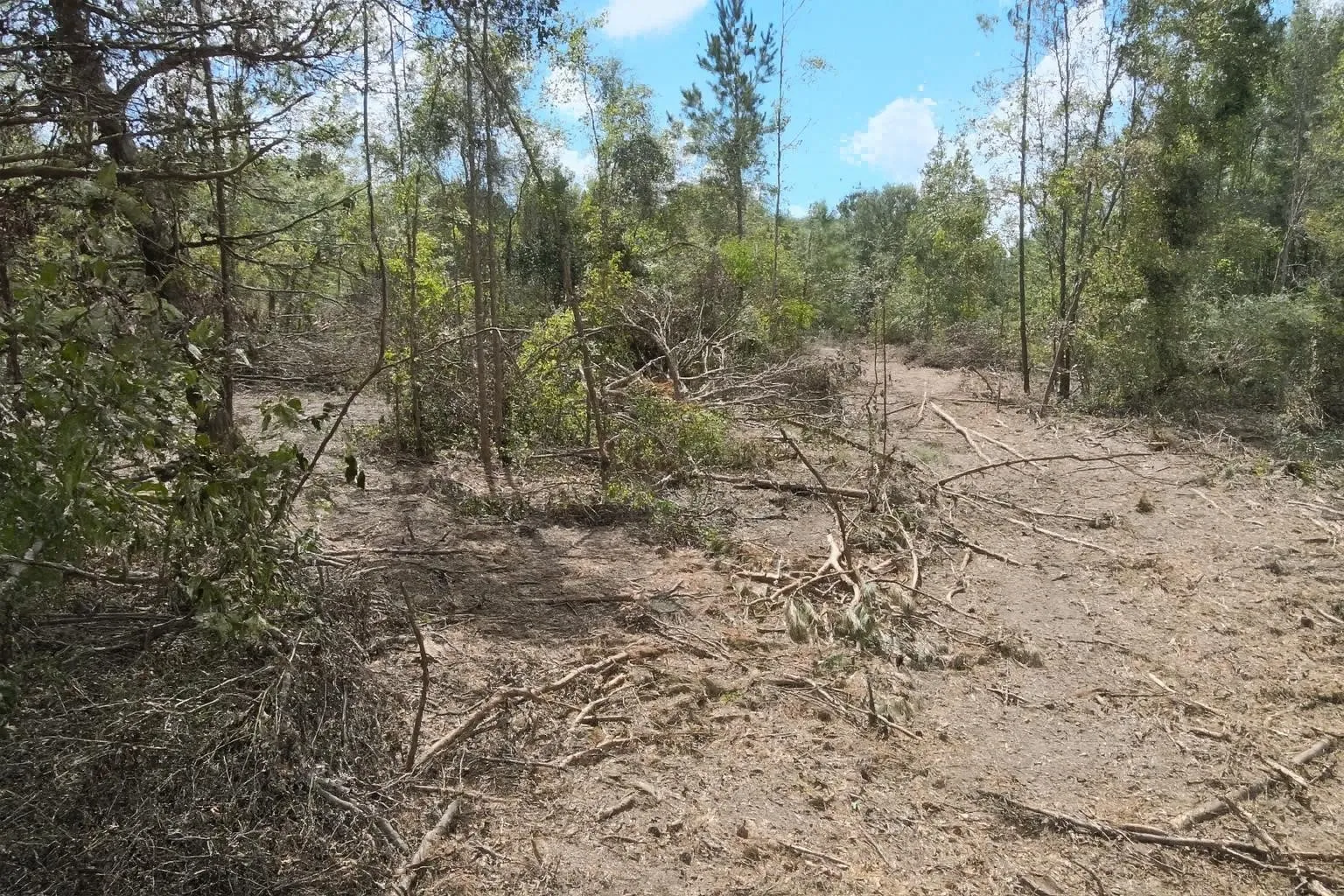 Unimproved Land For Sale in Rusk County , 500 Uren Lee Road, Overton, Texas 75684, 0, 0, Garage spaces, 0 Sqft, built in 0, mls#21406049, Real Estate Agent in Overton, Homes For Sale in Rusk county, Homes For Sale in Overton, Realtor in Overton Texas, Real Estate Brokerage Independent Realty Texas, Luminita Cordes Realtor
