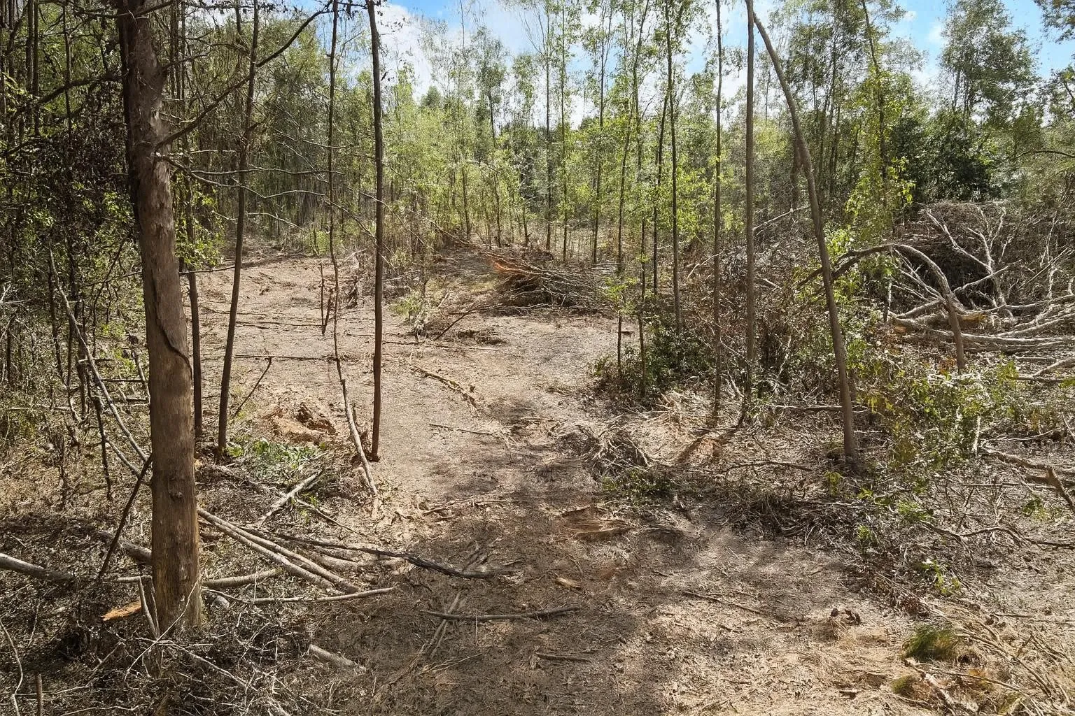 Unimproved Land For Sale in Rusk County , 500 Uren Lee Road, Overton, Texas 75684, 0, 0, Garage spaces, 0 Sqft, built in 0, mls#21406049, Real Estate Agent in Overton, Homes For Sale in Rusk county, Homes For Sale in Overton, Realtor in Overton Texas, Real Estate Brokerage Independent Realty Texas, Luminita Cordes Realtor