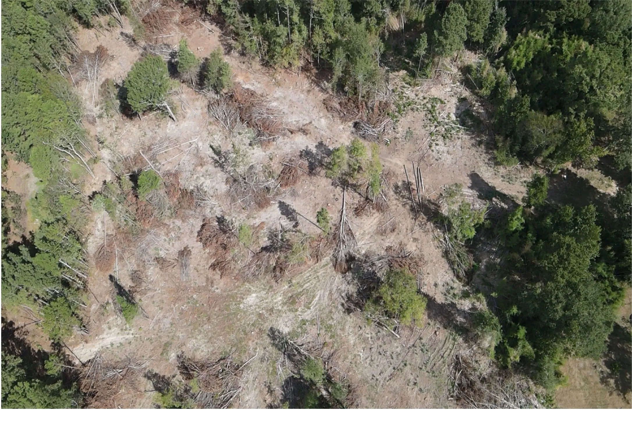 Unimproved Land For Sale in Rusk County , 500 Uren Lee Road, Overton, Texas 75684, 0, 0, Garage spaces, 0 Sqft, built in 0, mls#21406049, Real Estate Agent in Overton, Homes For Sale in Rusk county, Homes For Sale in Overton, Realtor in Overton Texas, Real Estate Brokerage Independent Realty Texas, Luminita Cordes Realtor