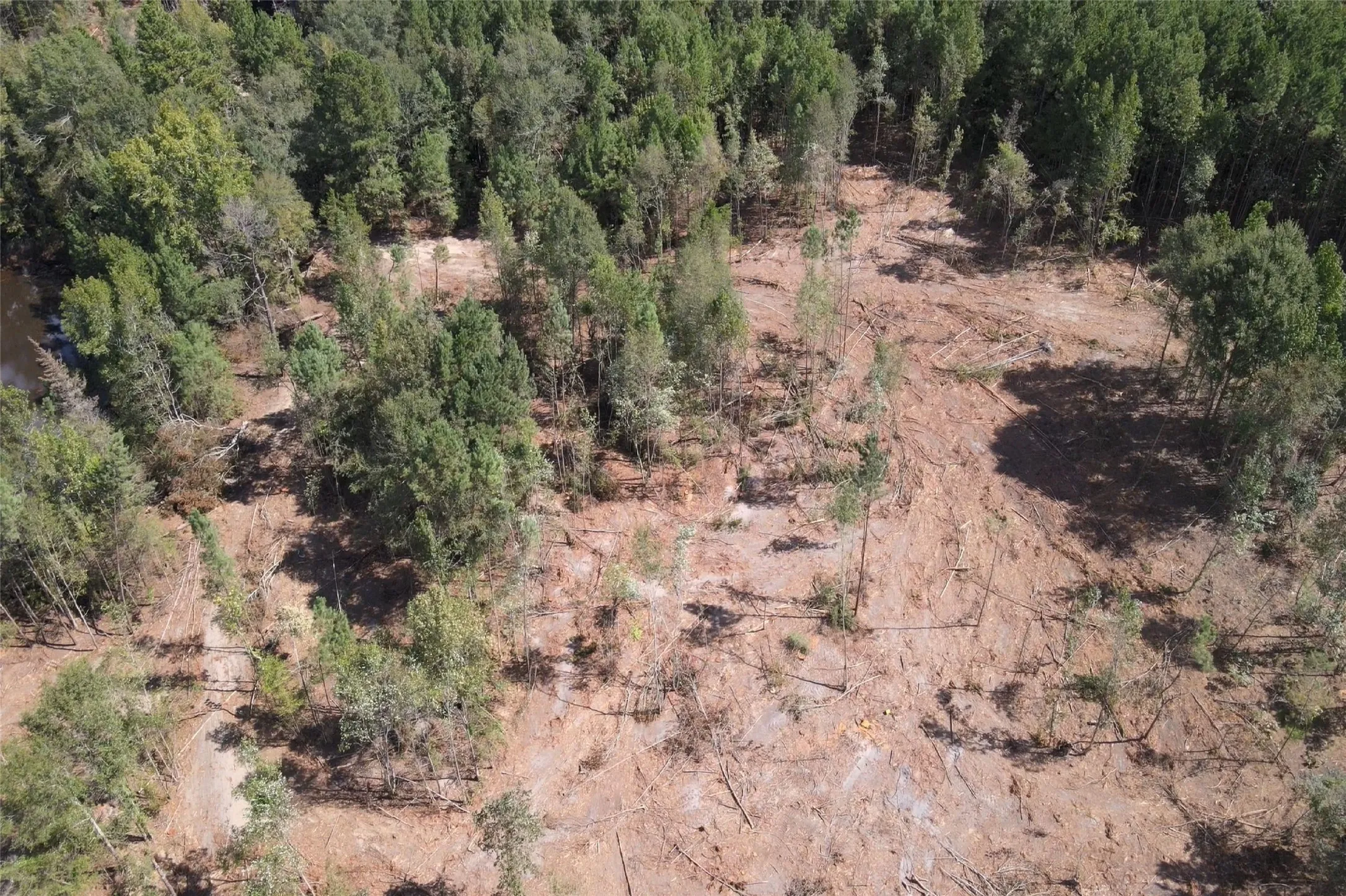Unimproved Land For Sale in Rusk County , 500 Uren Lee Road, Overton, Texas 75684, 0, 0, Garage spaces, 0 Sqft, built in 0, mls#21406049, Real Estate Agent in Overton, Homes For Sale in Rusk county, Homes For Sale in Overton, Realtor in Overton Texas, Real Estate Brokerage Independent Realty Texas, Luminita Cordes Realtor