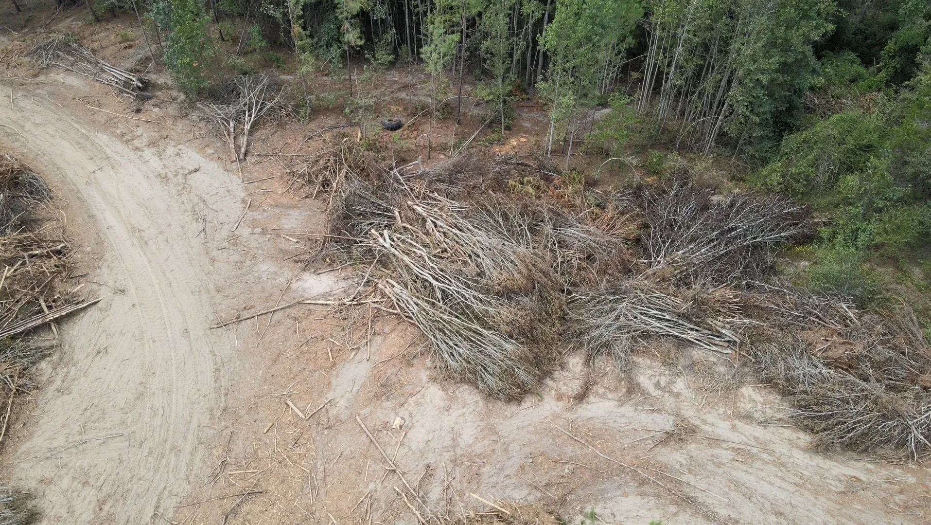 Unimproved Land For Sale in Rusk County , 500 Uren Lee Road, Overton, Texas 75684, 0, 0, Garage spaces, 0 Sqft, built in 0, mls#21406049, Real Estate Agent in Overton, Homes For Sale in Rusk county, Homes For Sale in Overton, Realtor in Overton Texas, Real Estate Brokerage Independent Realty Texas, Luminita Cordes Realtor