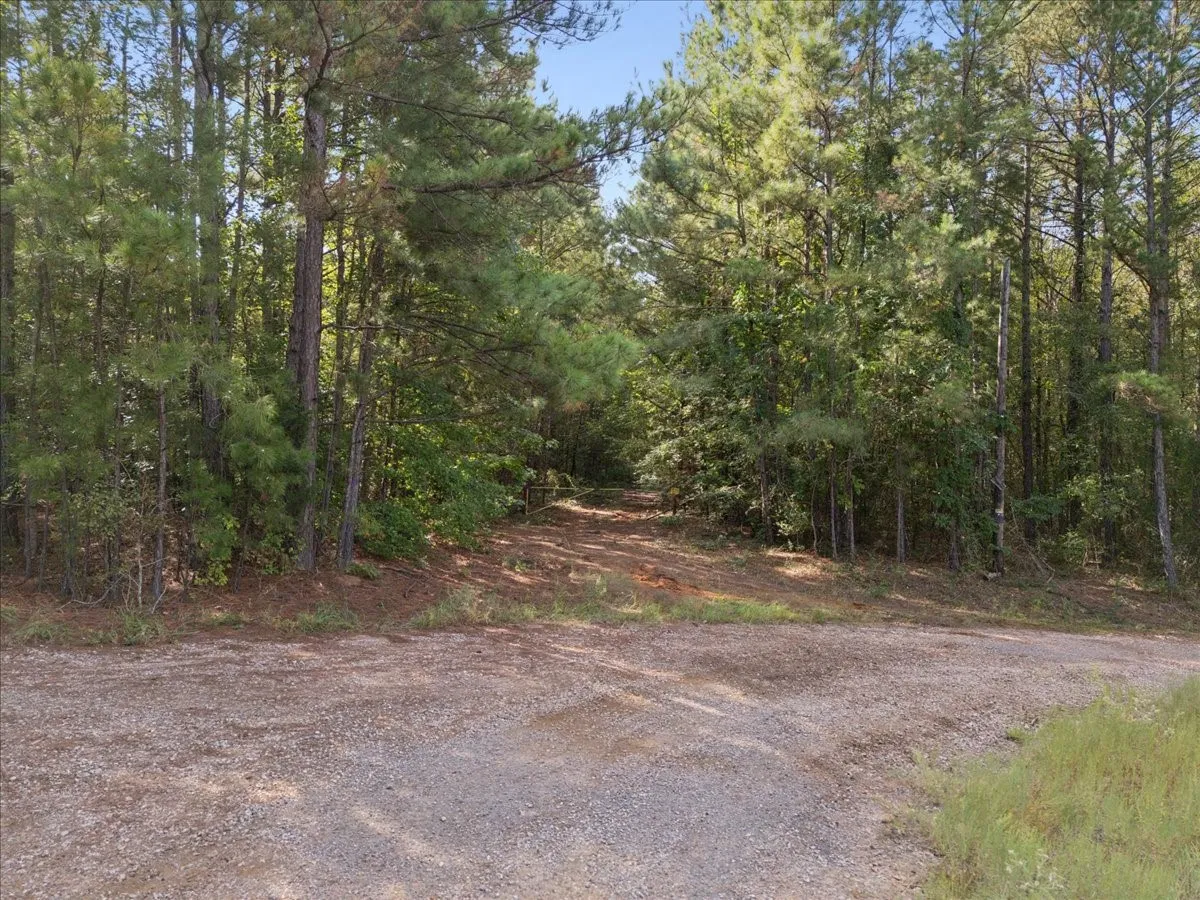 Unimproved Land For Sale in Rusk County , 500 Uren Lee Road, Overton, Texas 75684, 0, 0, Garage spaces, 0 Sqft, built in 0, mls#21406049, Real Estate Agent in Overton, Homes For Sale in Rusk county, Homes For Sale in Overton, Realtor in Overton Texas, Real Estate Brokerage Independent Realty Texas, Luminita Cordes Realtor