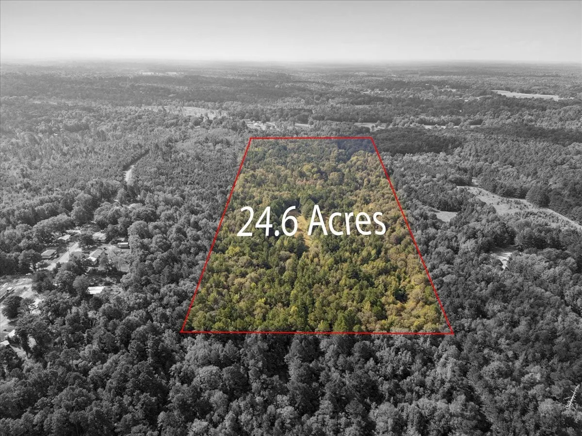 Unimproved Land For Sale in Rusk County , 500 Uren Lee Road, Overton, Texas 75684, 0, 0, Garage spaces, 0 Sqft, built in 0, mls#21406049, Real Estate Agent in Overton, Homes For Sale in Rusk county, Homes For Sale in Overton, Realtor in Overton Texas, Real Estate Brokerage Independent Realty Texas, Luminita Cordes Realtor
