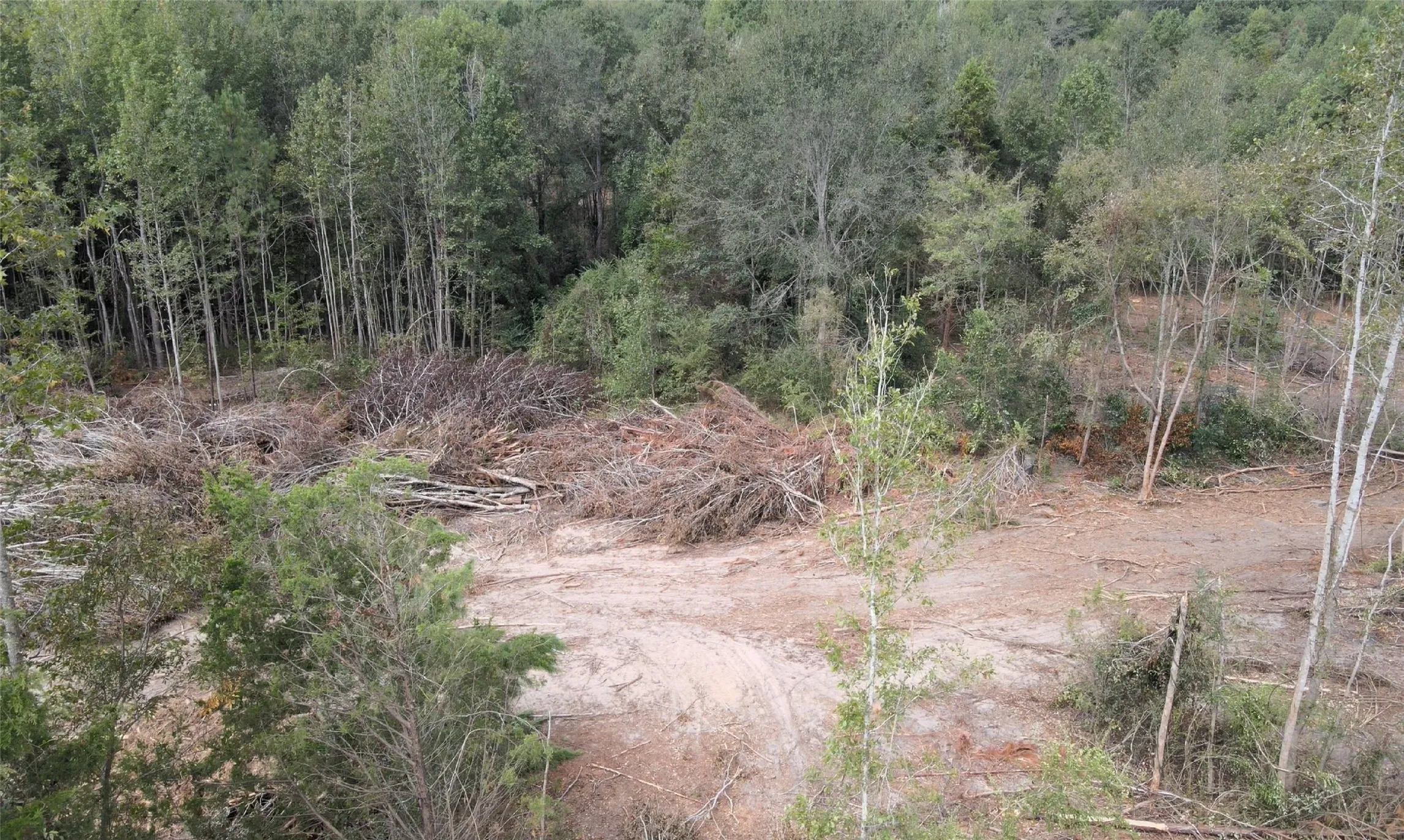 Unimproved Land For Sale in Rusk County , 500 Uren Lee Road, Overton, Texas 75684, 0, 0, Garage spaces, 0 Sqft, built in 0, mls#21406049, Real Estate Agent in Overton, Homes For Sale in Rusk county, Homes For Sale in Overton, Realtor in Overton Texas, Real Estate Brokerage Independent Realty Texas, Luminita Cordes Realtor