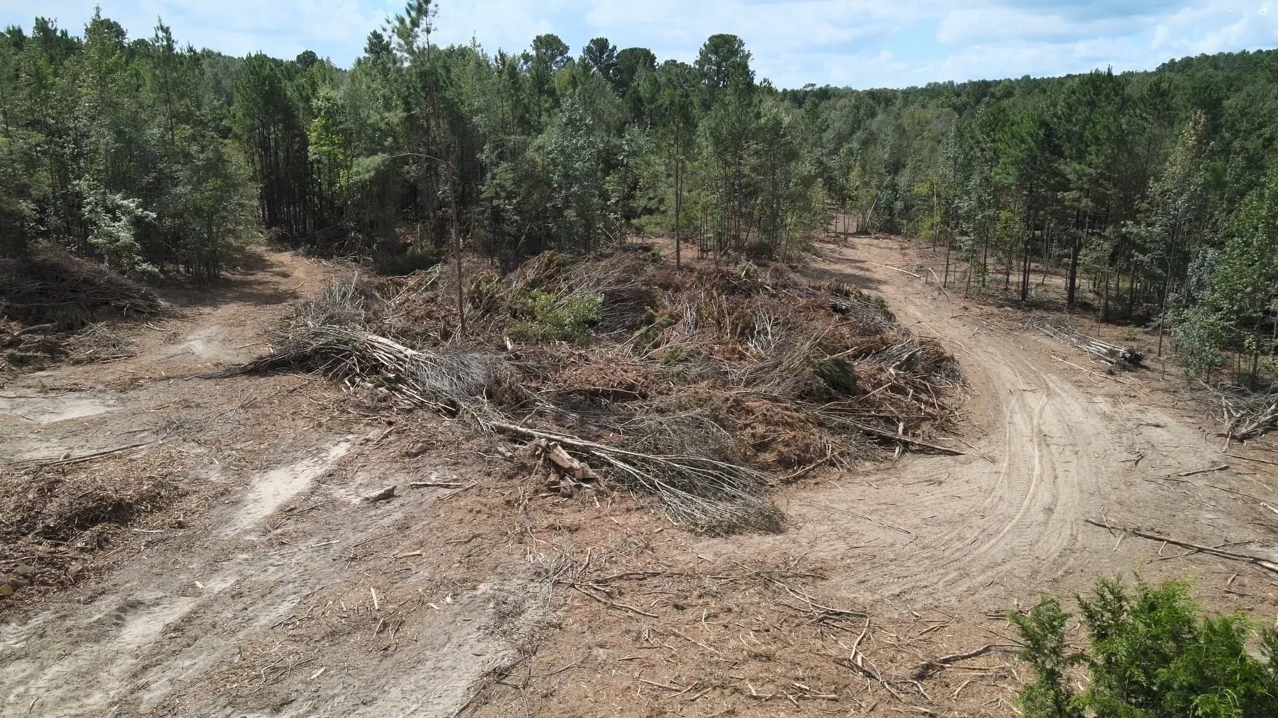 Unimproved Land For Sale in Rusk County , 500 Uren Lee Road, Overton, Texas 75684, 0, 0, Garage spaces, 0 Sqft, built in 0, mls#21406049, Real Estate Agent in Overton, Homes For Sale in Rusk county, Homes For Sale in Overton, Realtor in Overton Texas, Real Estate Brokerage Independent Realty Texas, Luminita Cordes Realtor